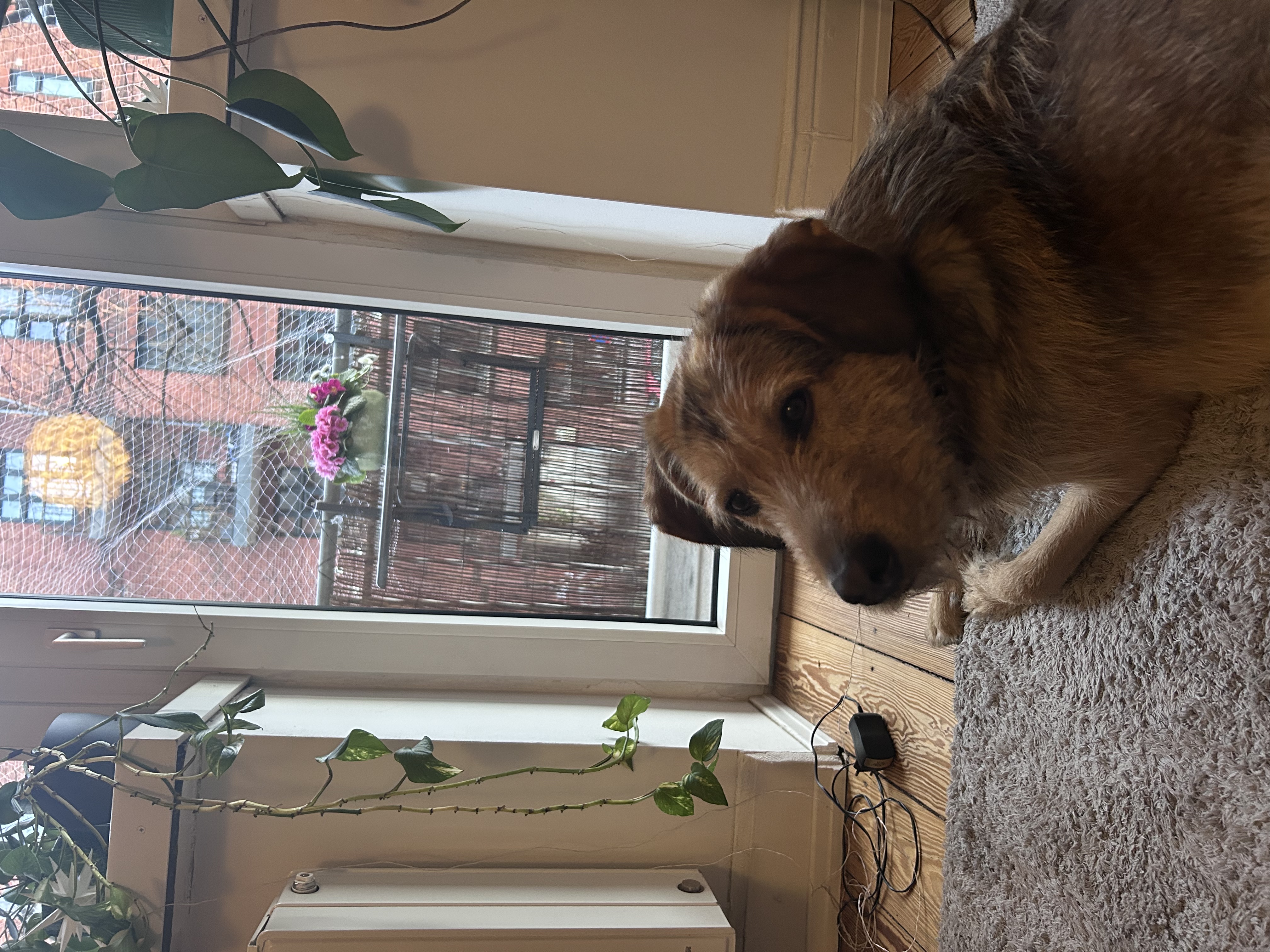 image-15