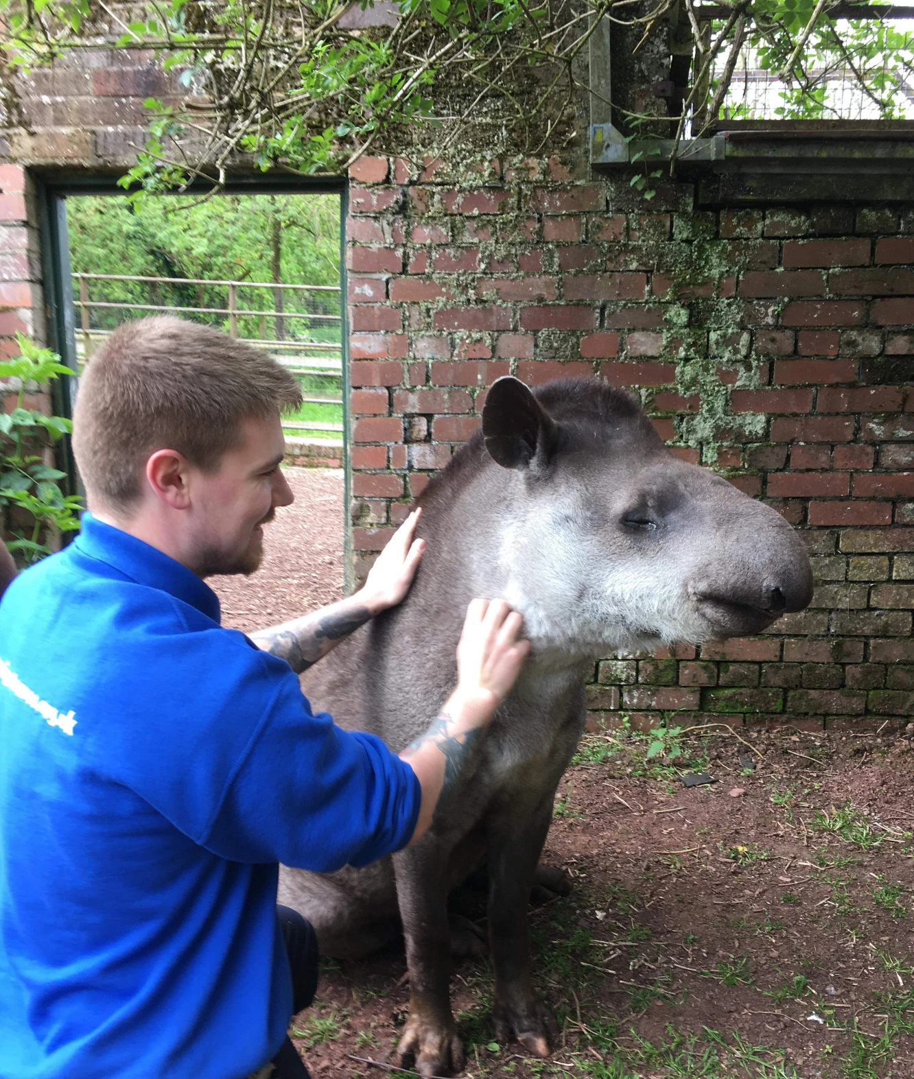 image-8