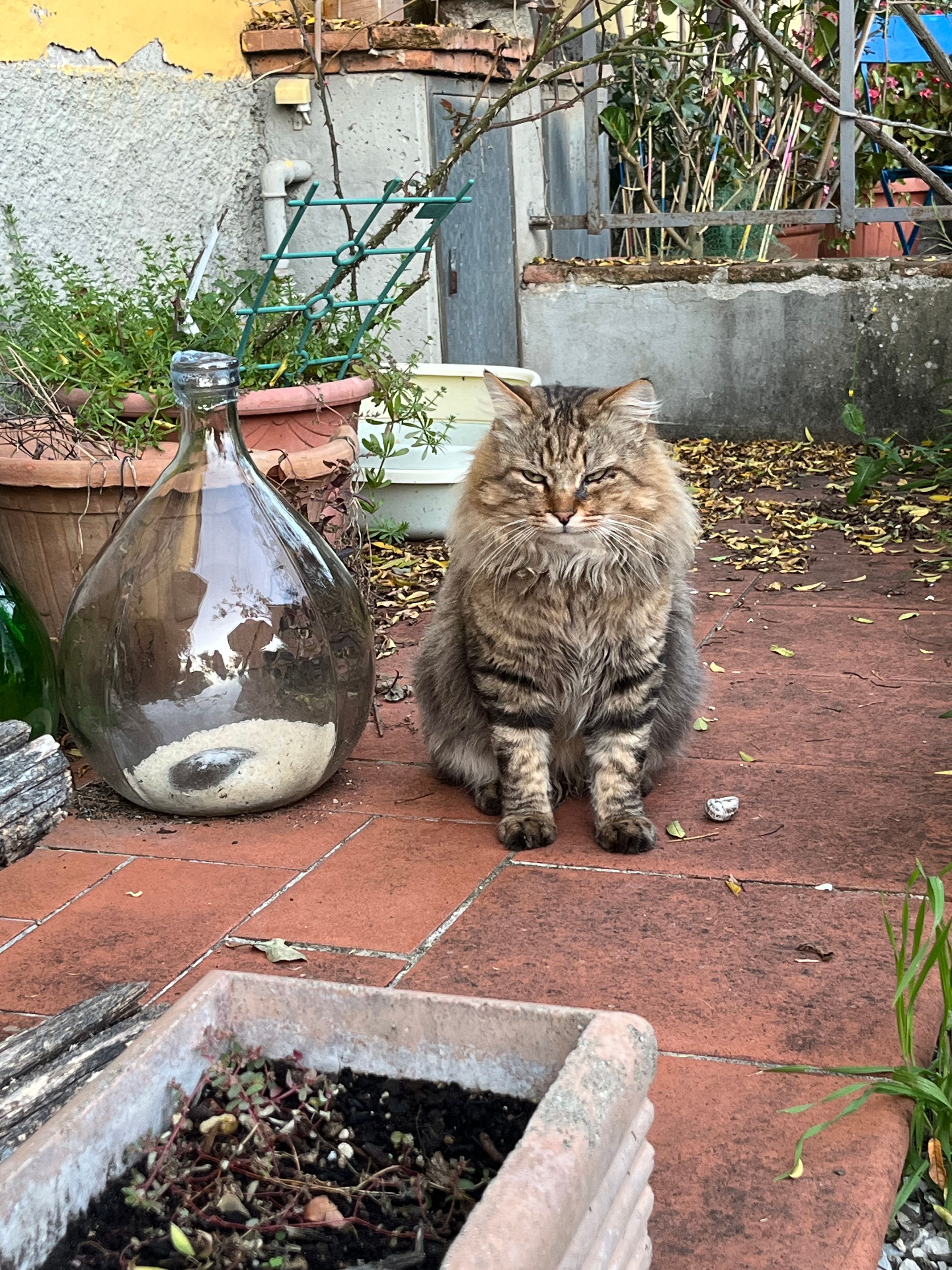 image-6