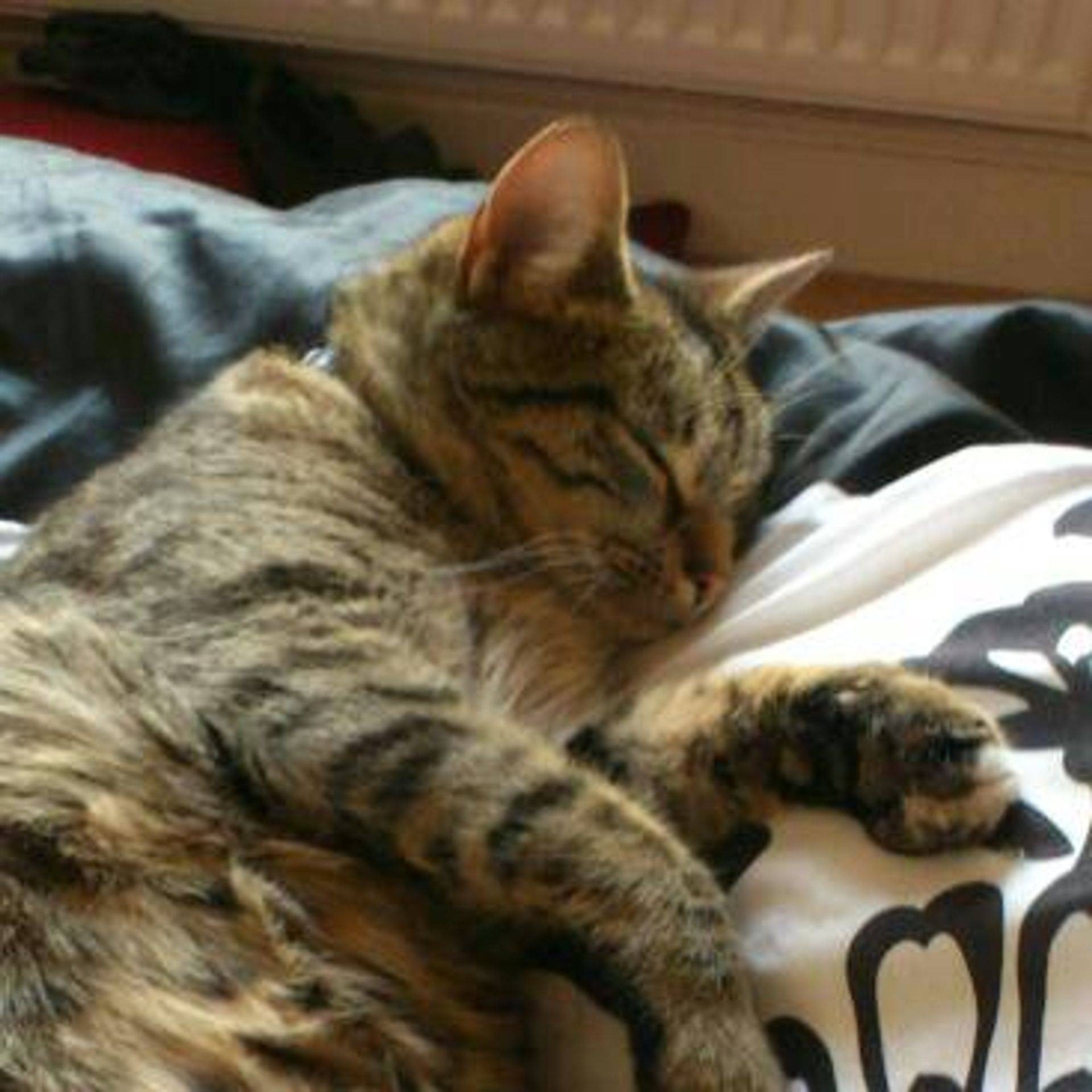 Lenny