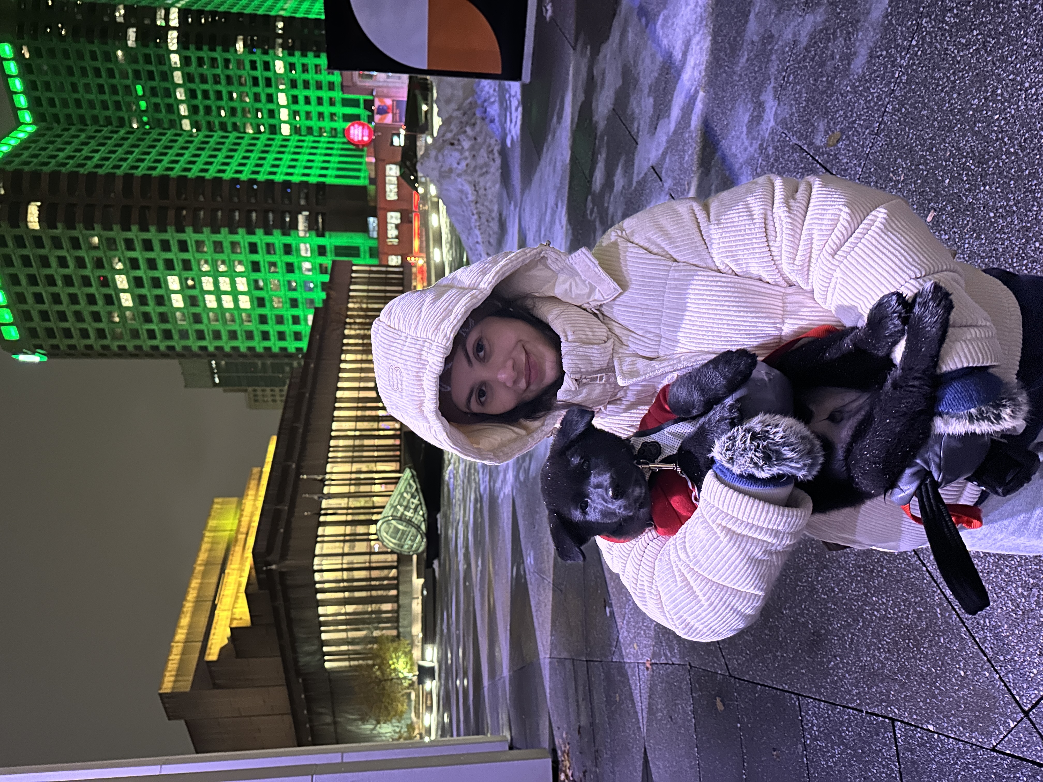 image-12
