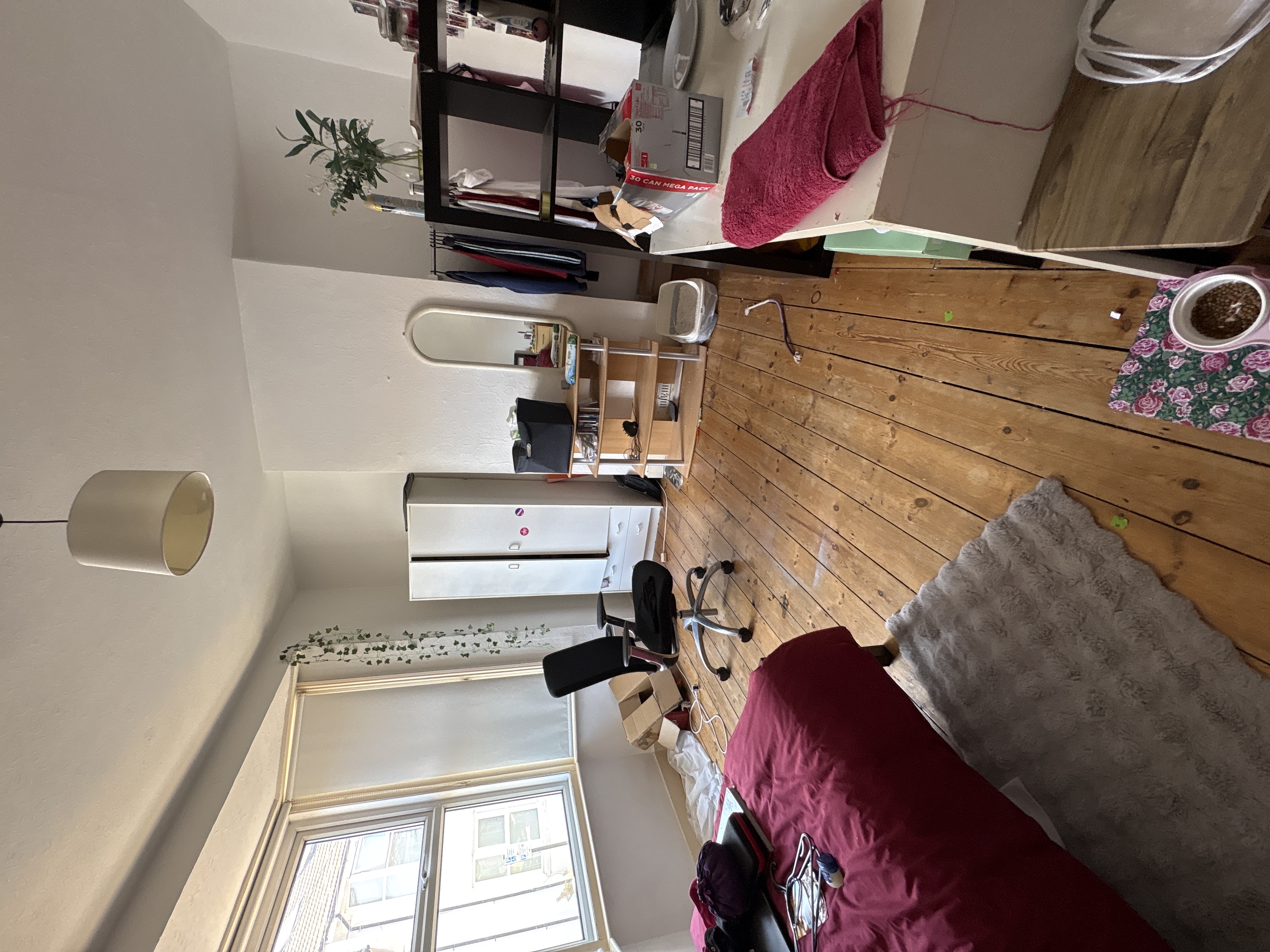 image-7