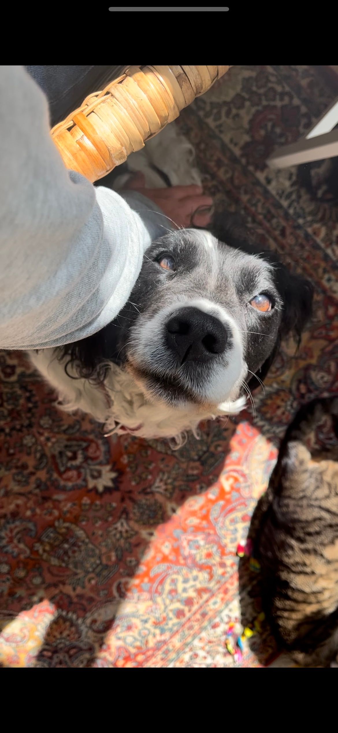 image-8
