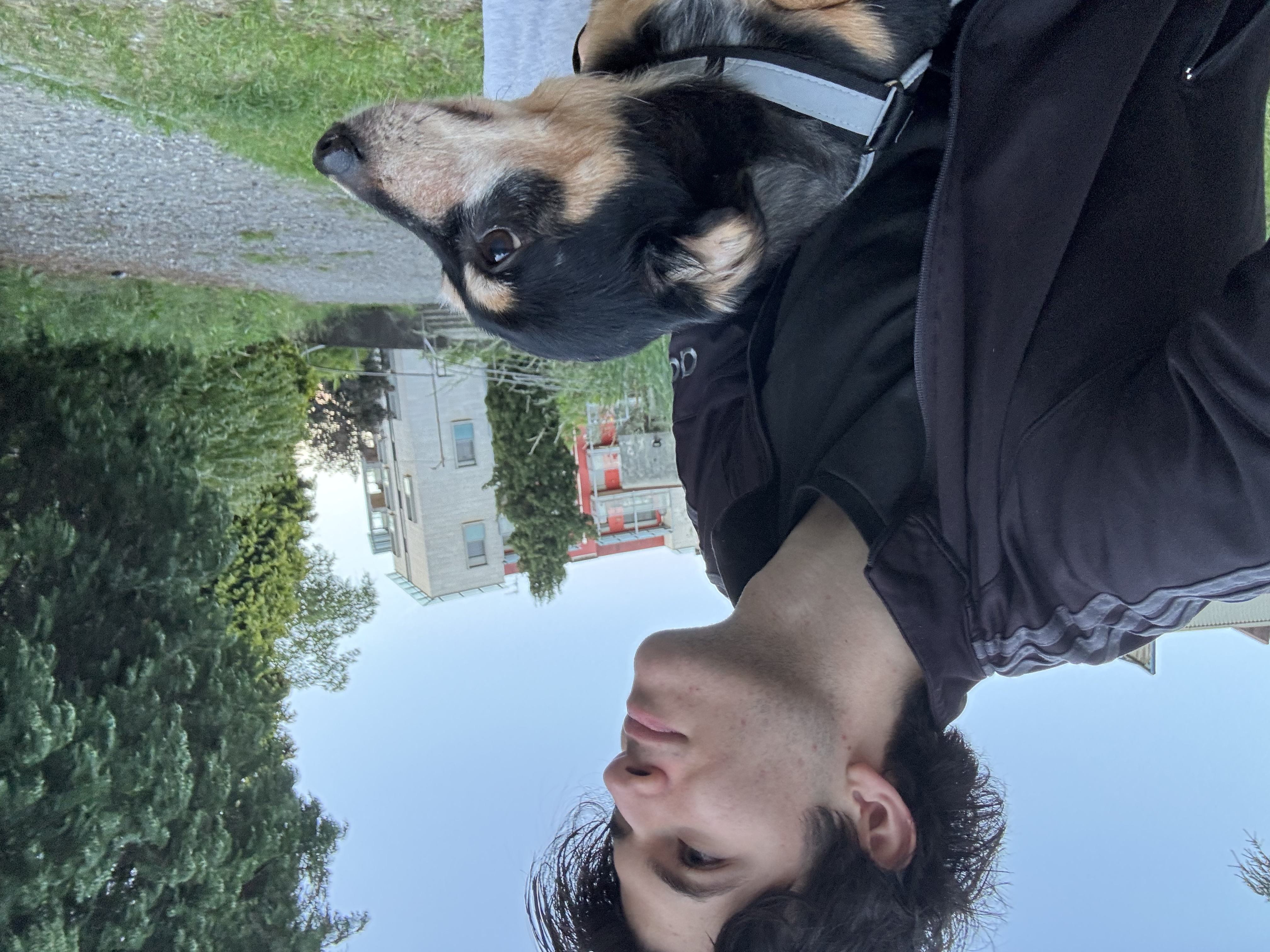 image-9