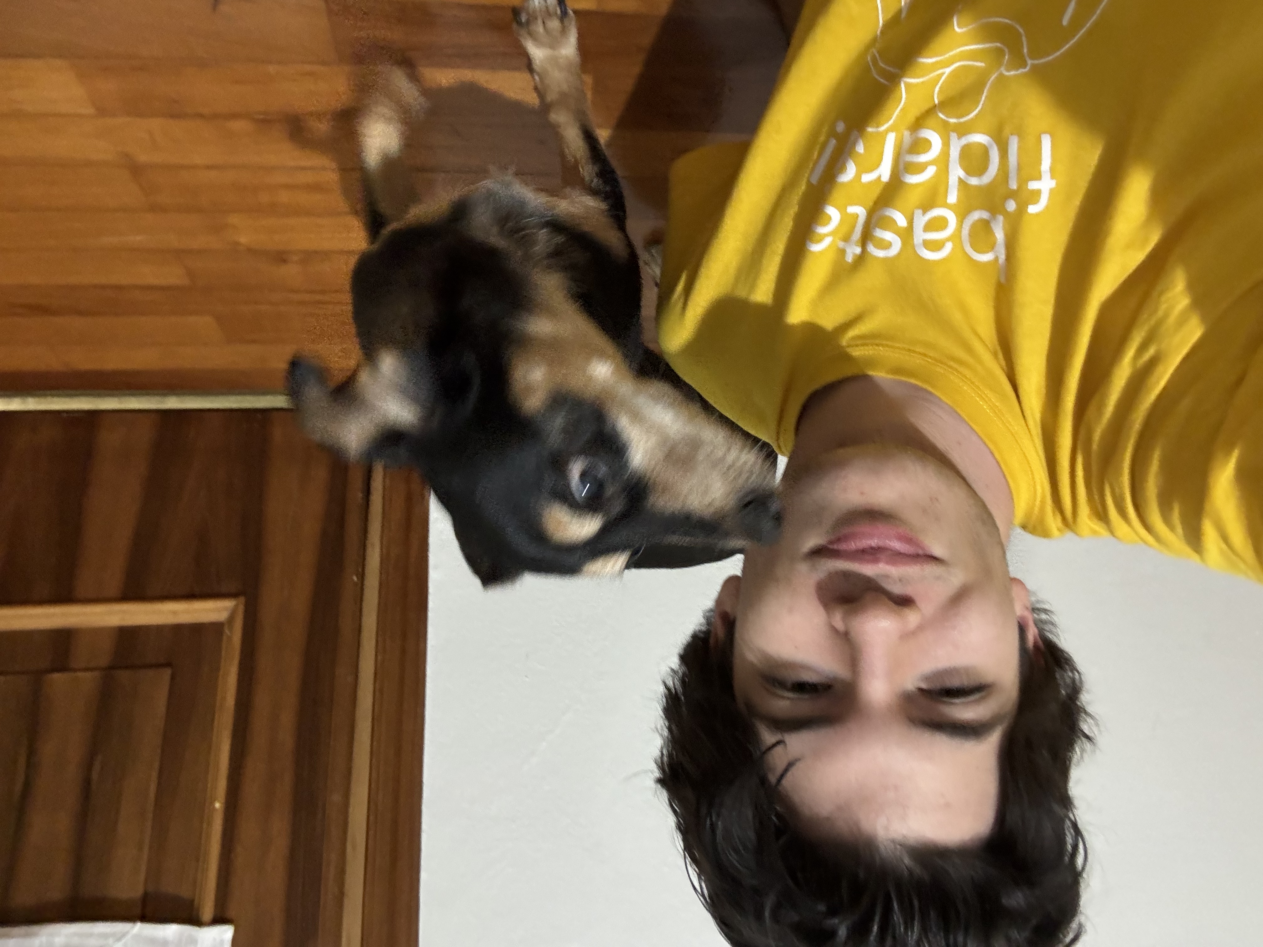 image-0