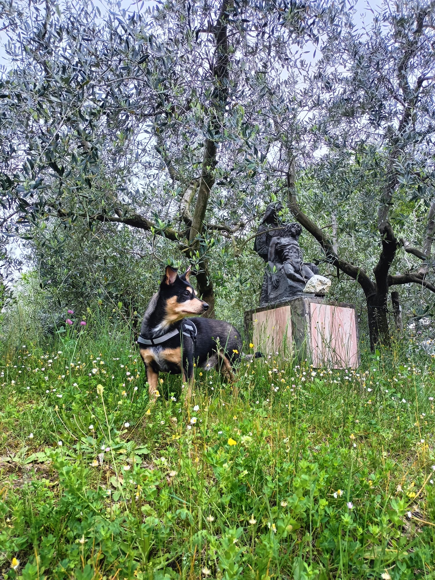 image-5