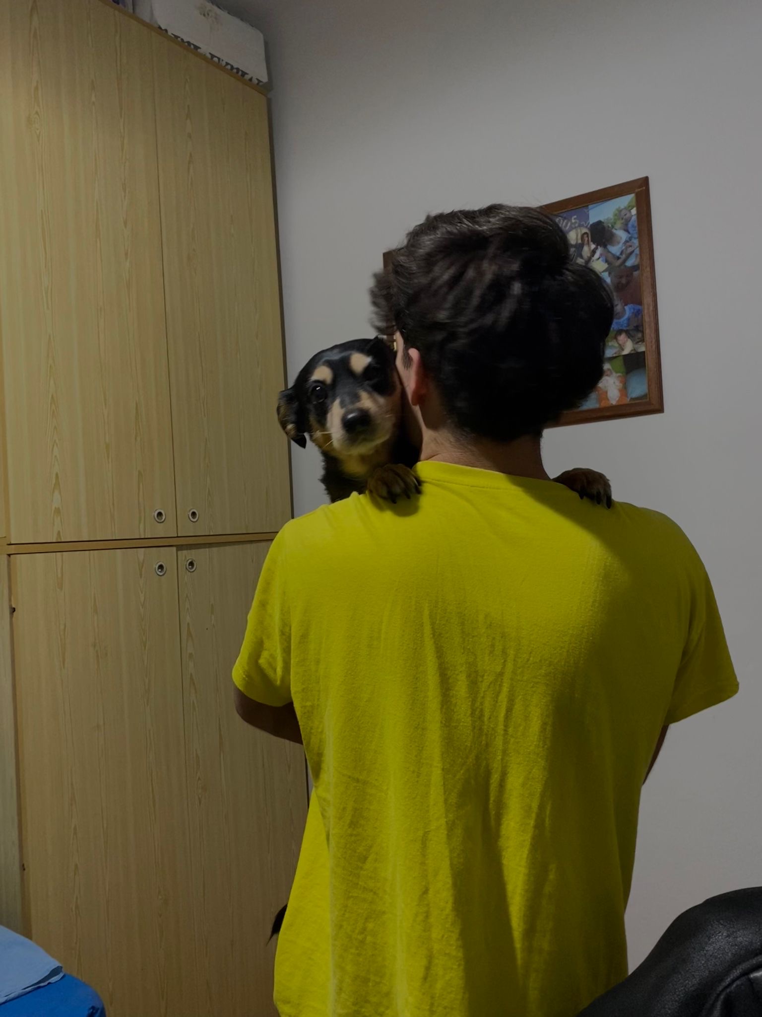 image-8