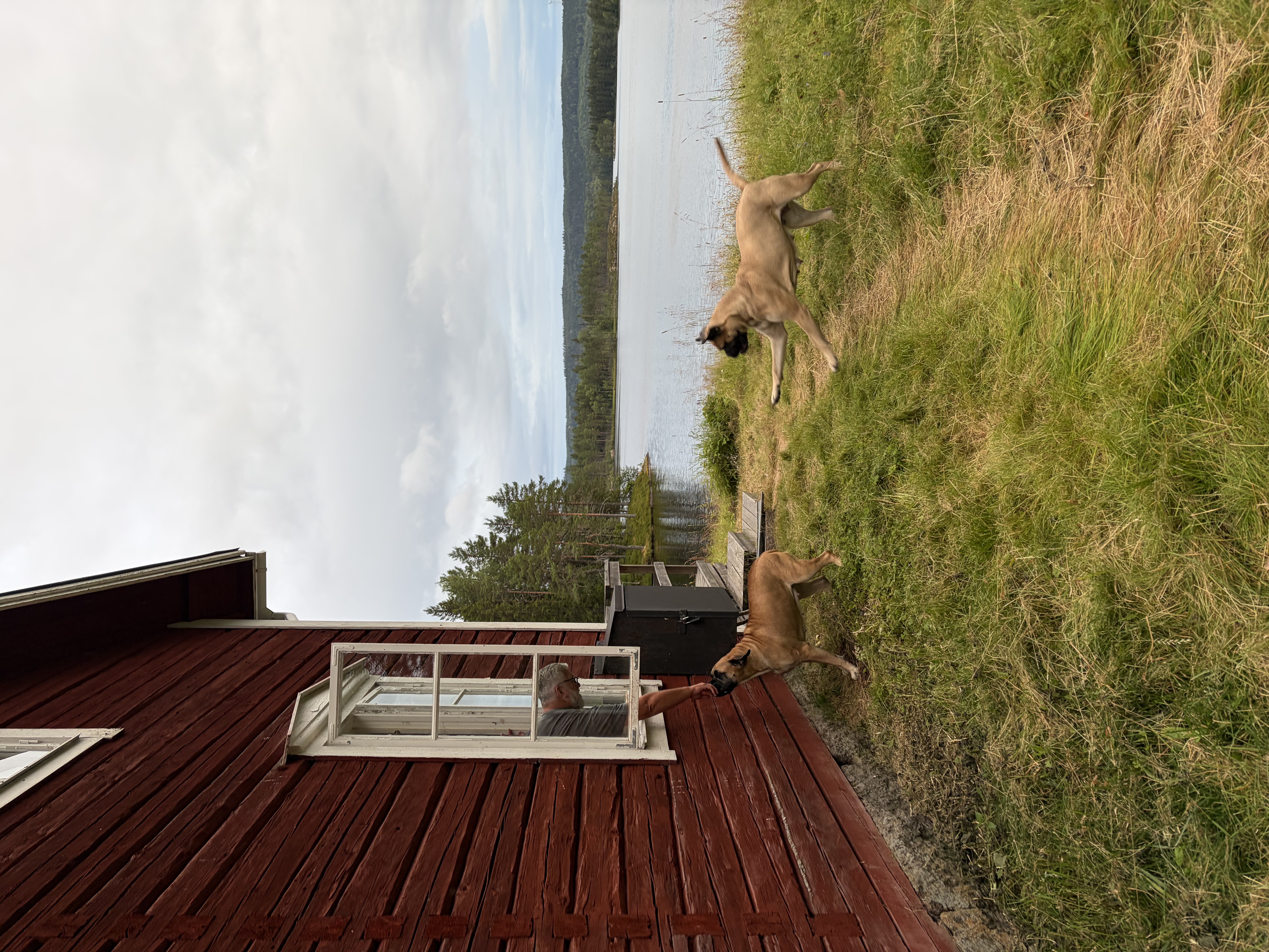 image-13