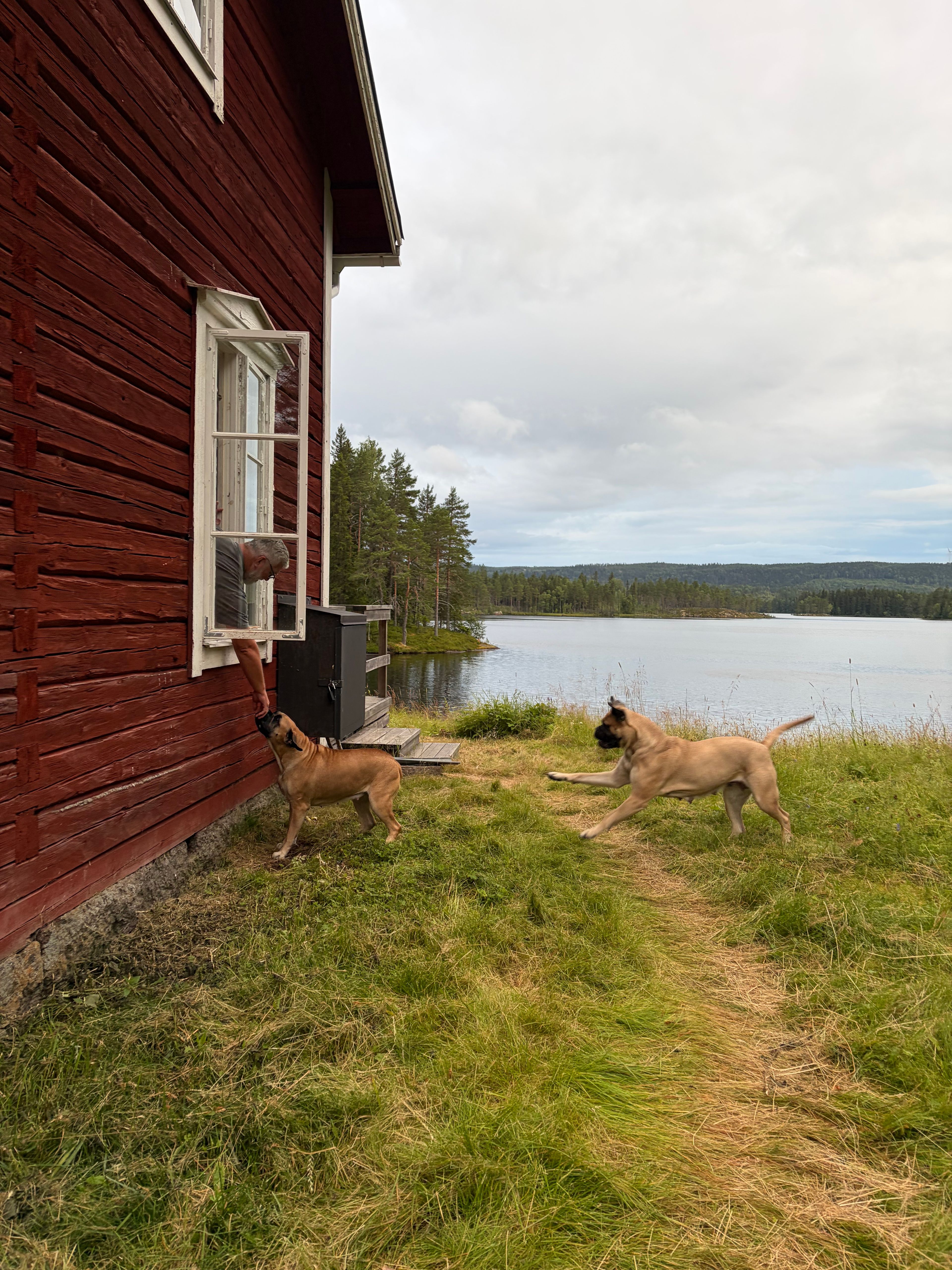 image-13