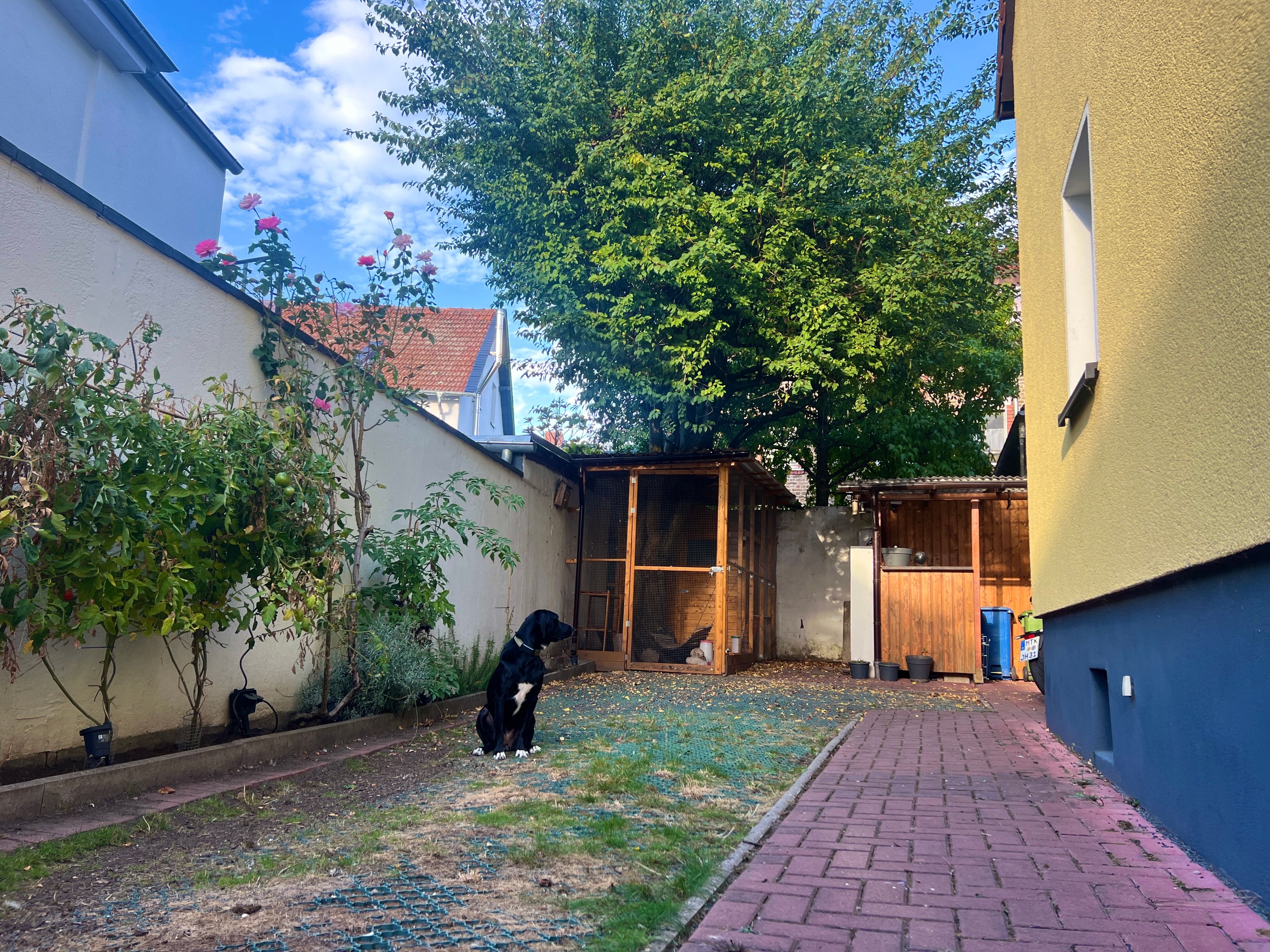image-15