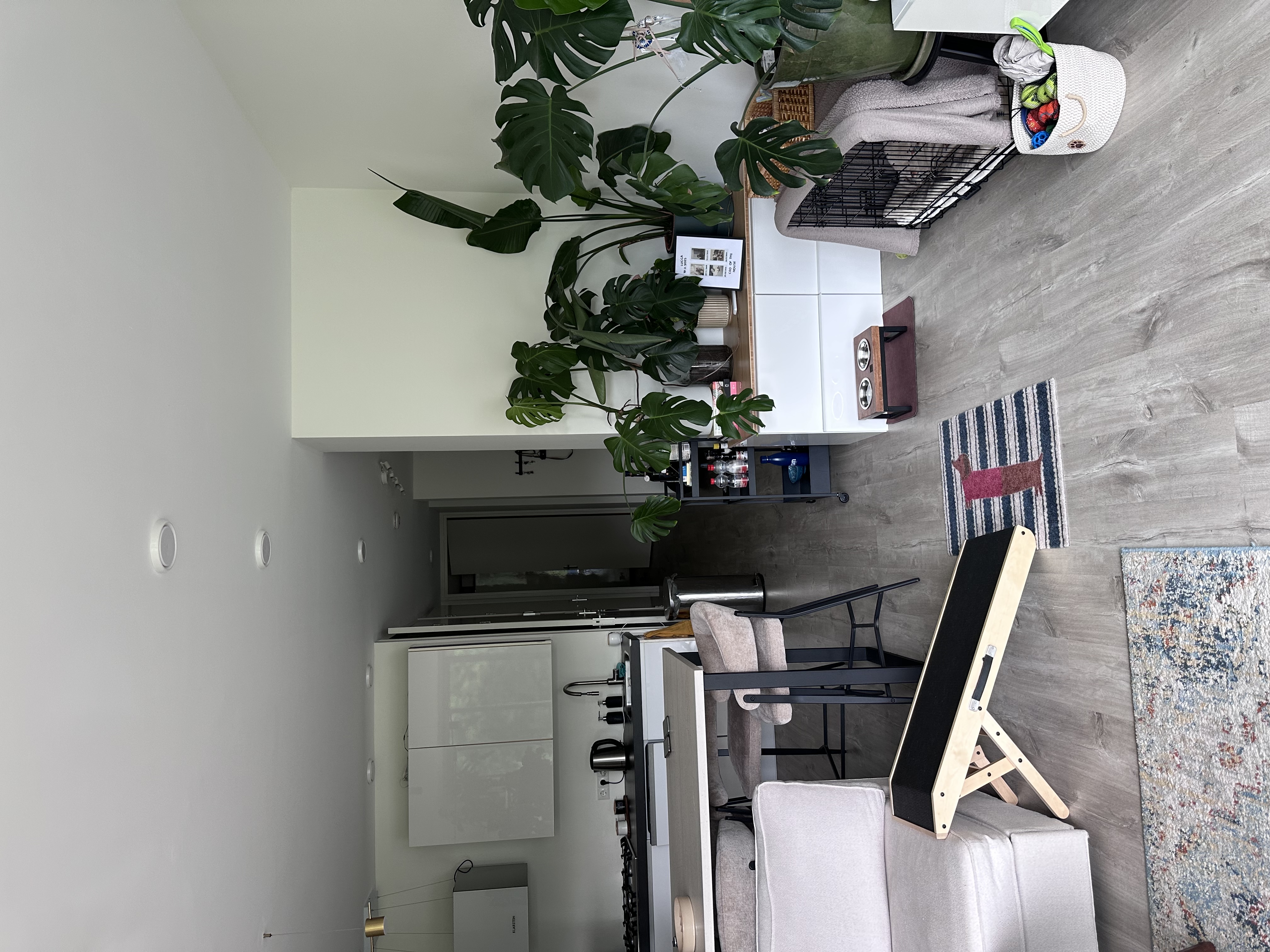 image-42