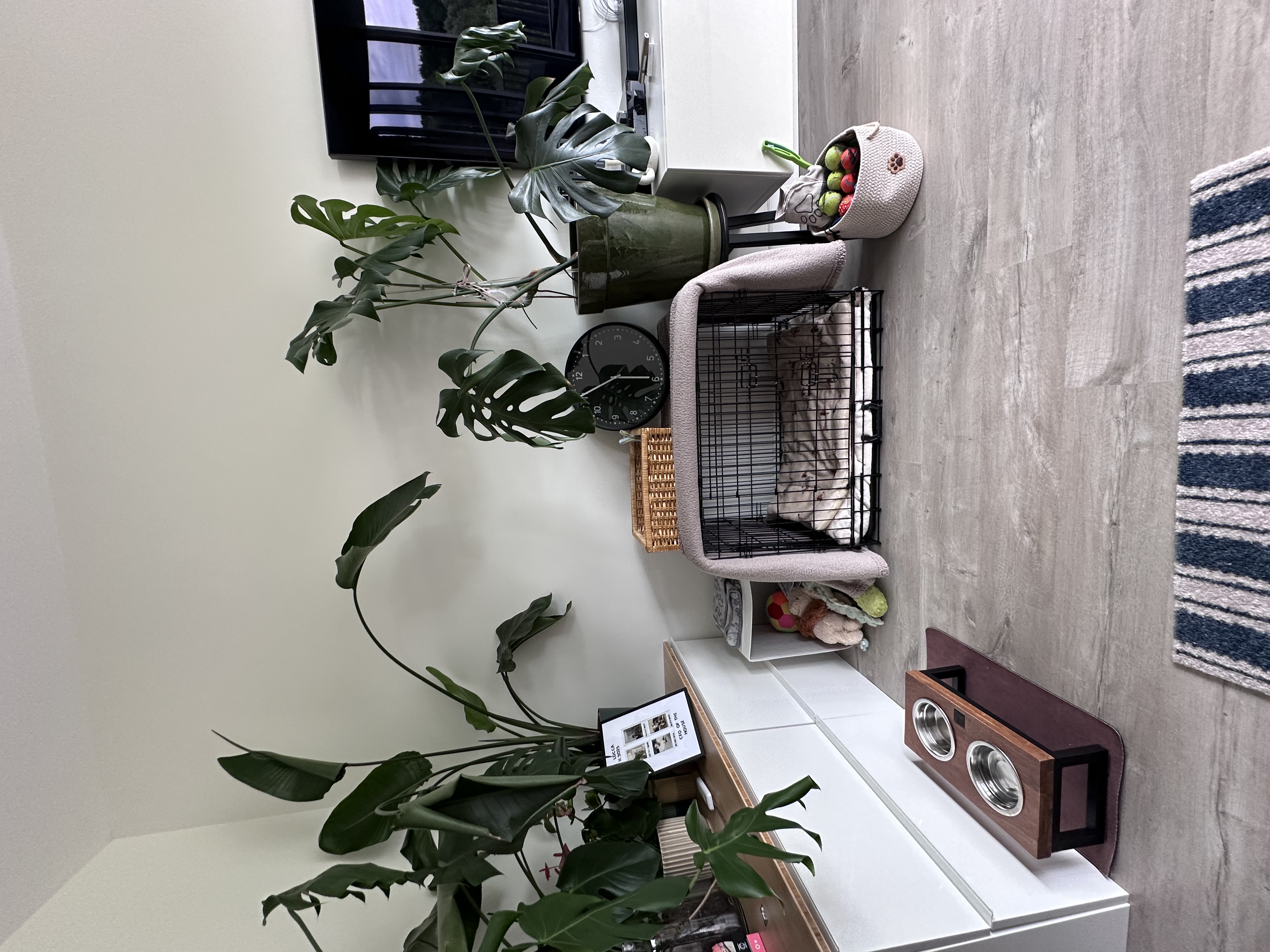 image-45