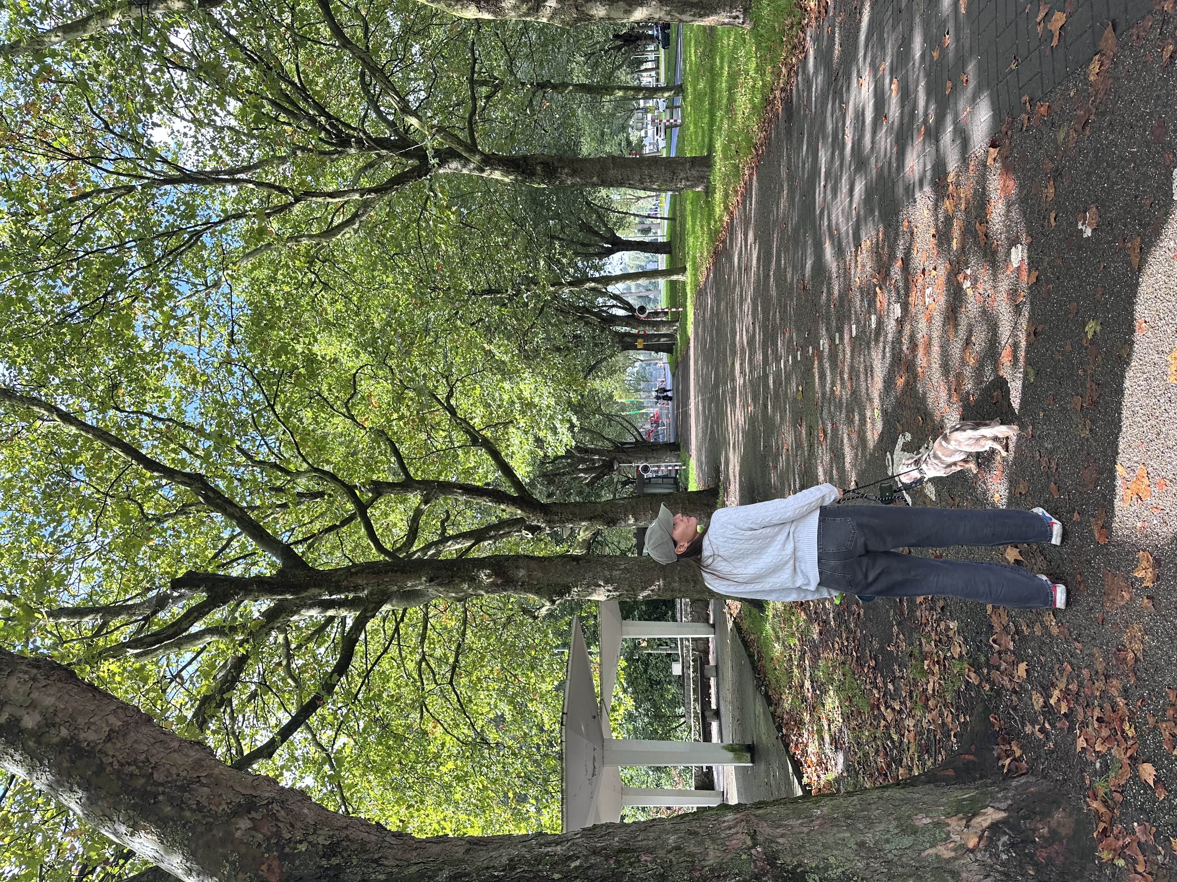 image-16