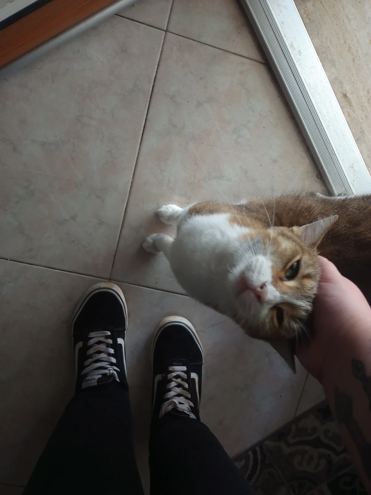 image-14