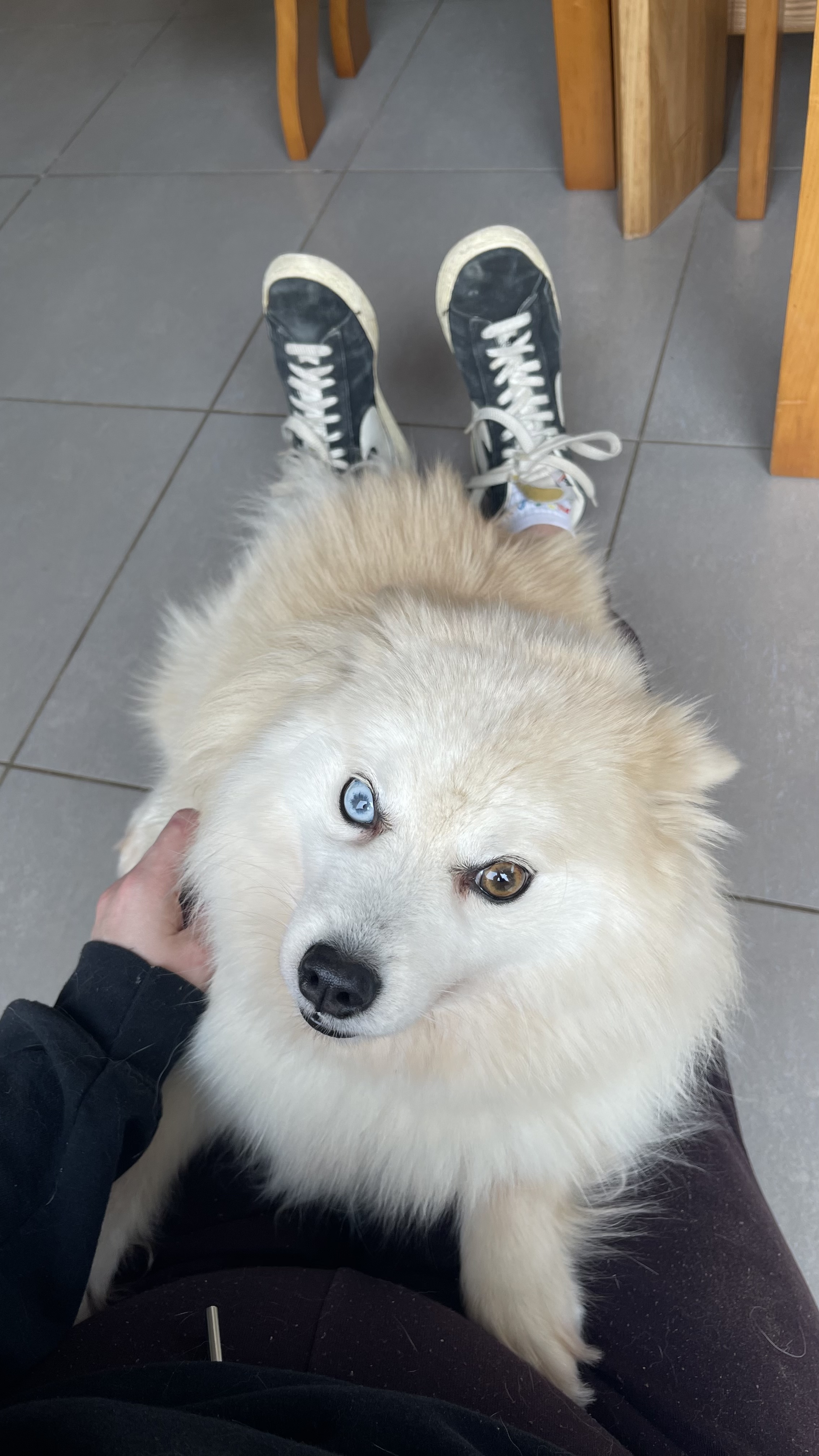 image-8