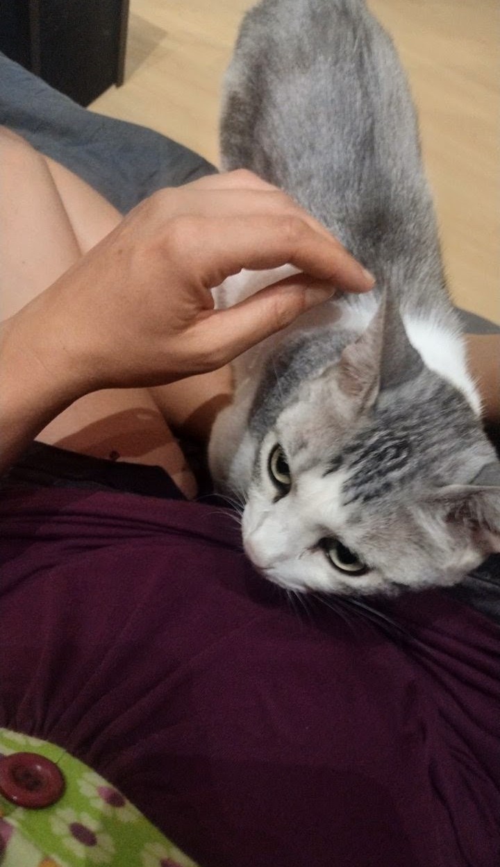 image-5