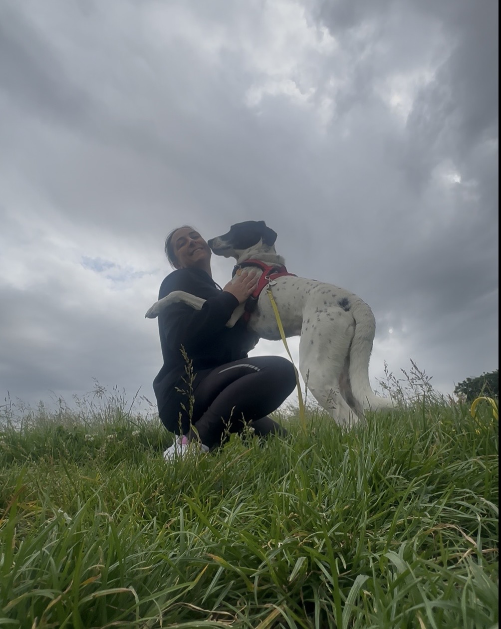 image-5