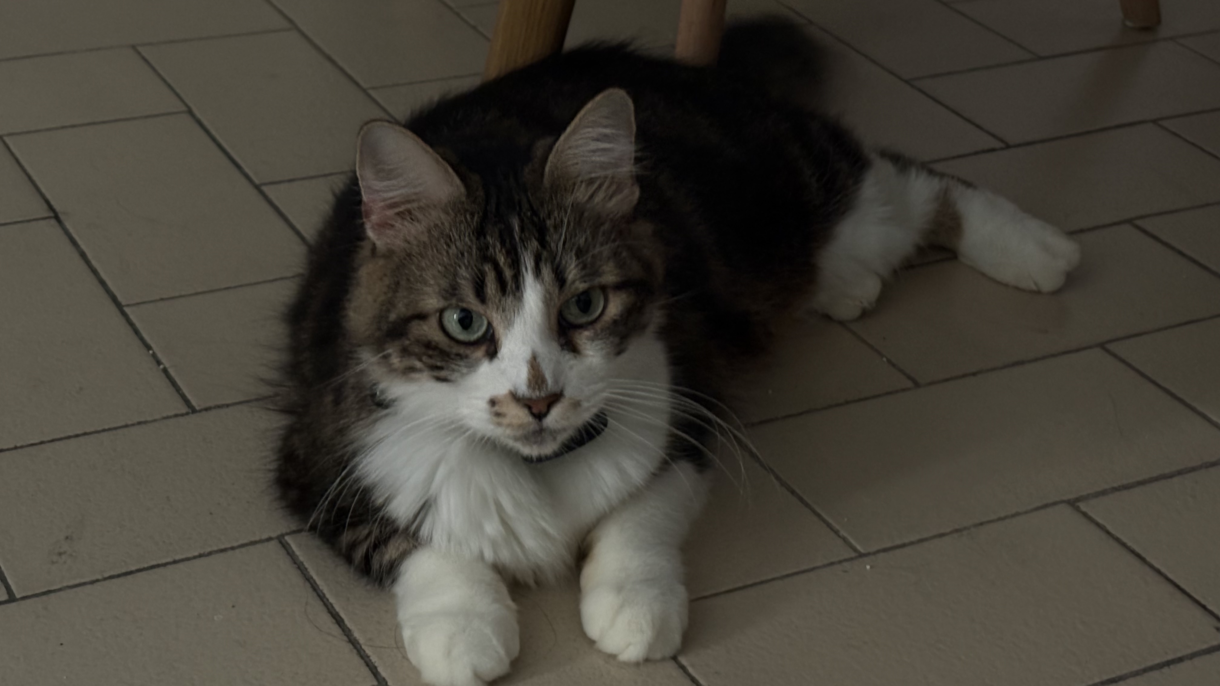 image-5