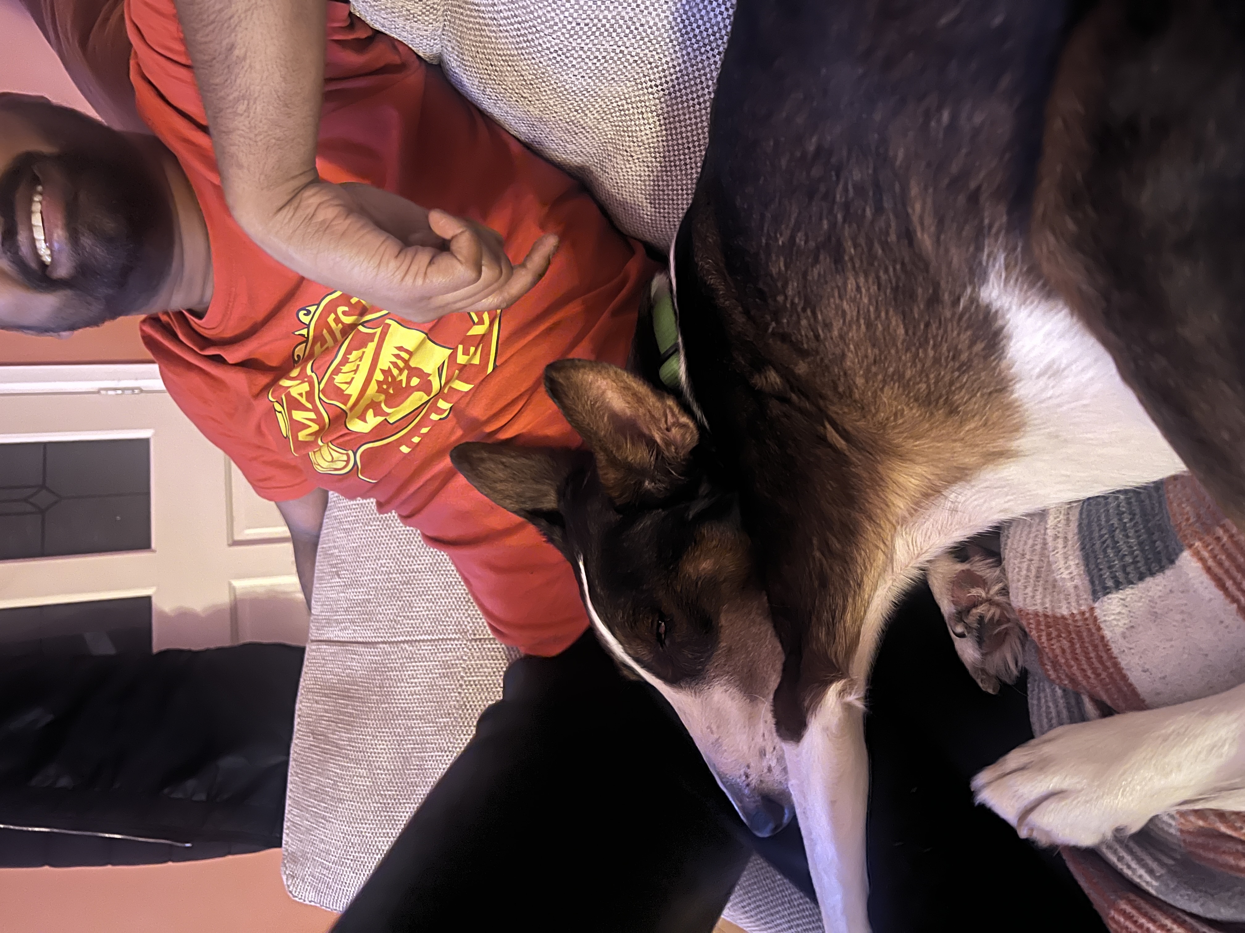 image-8