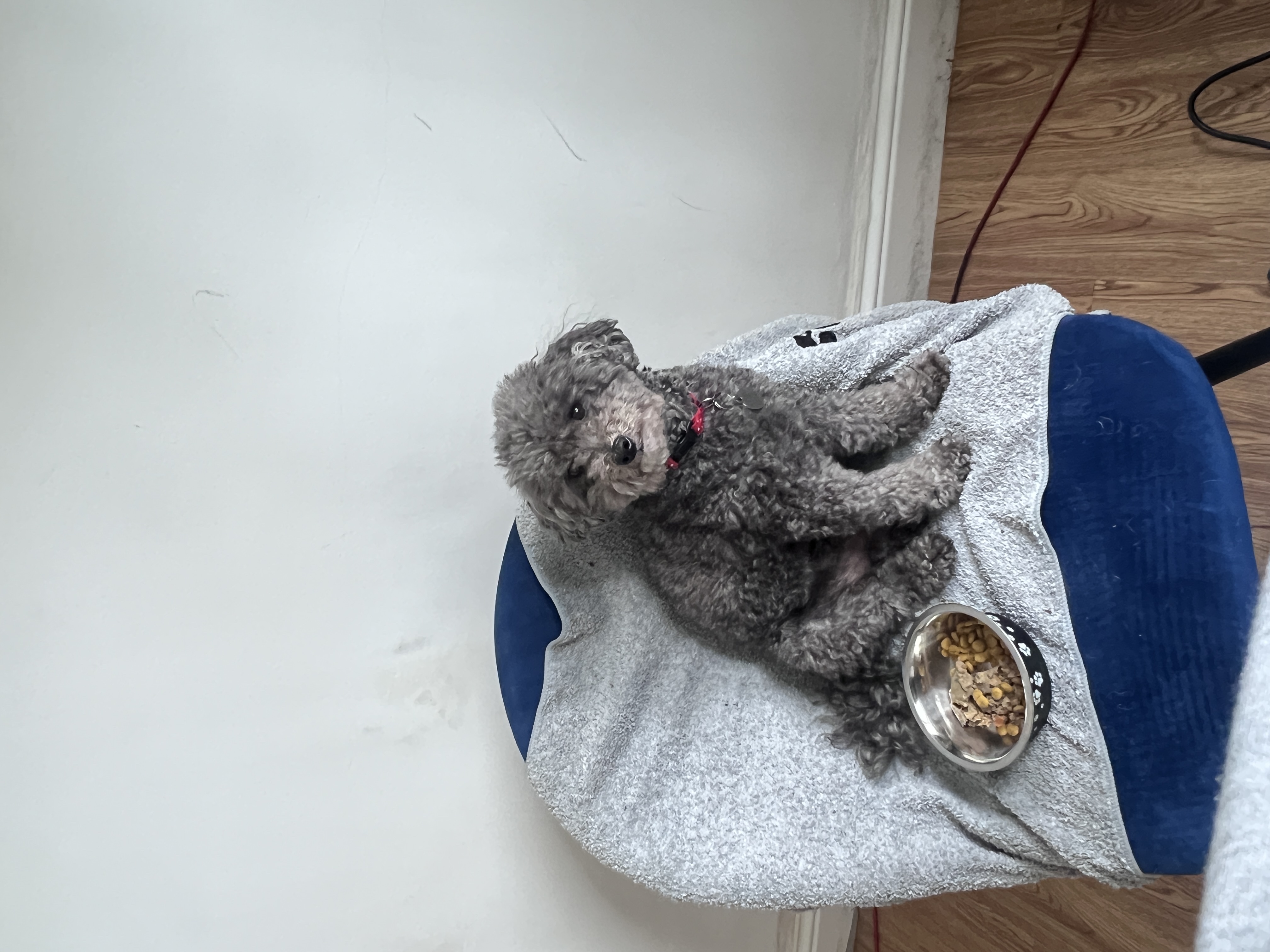 image-6