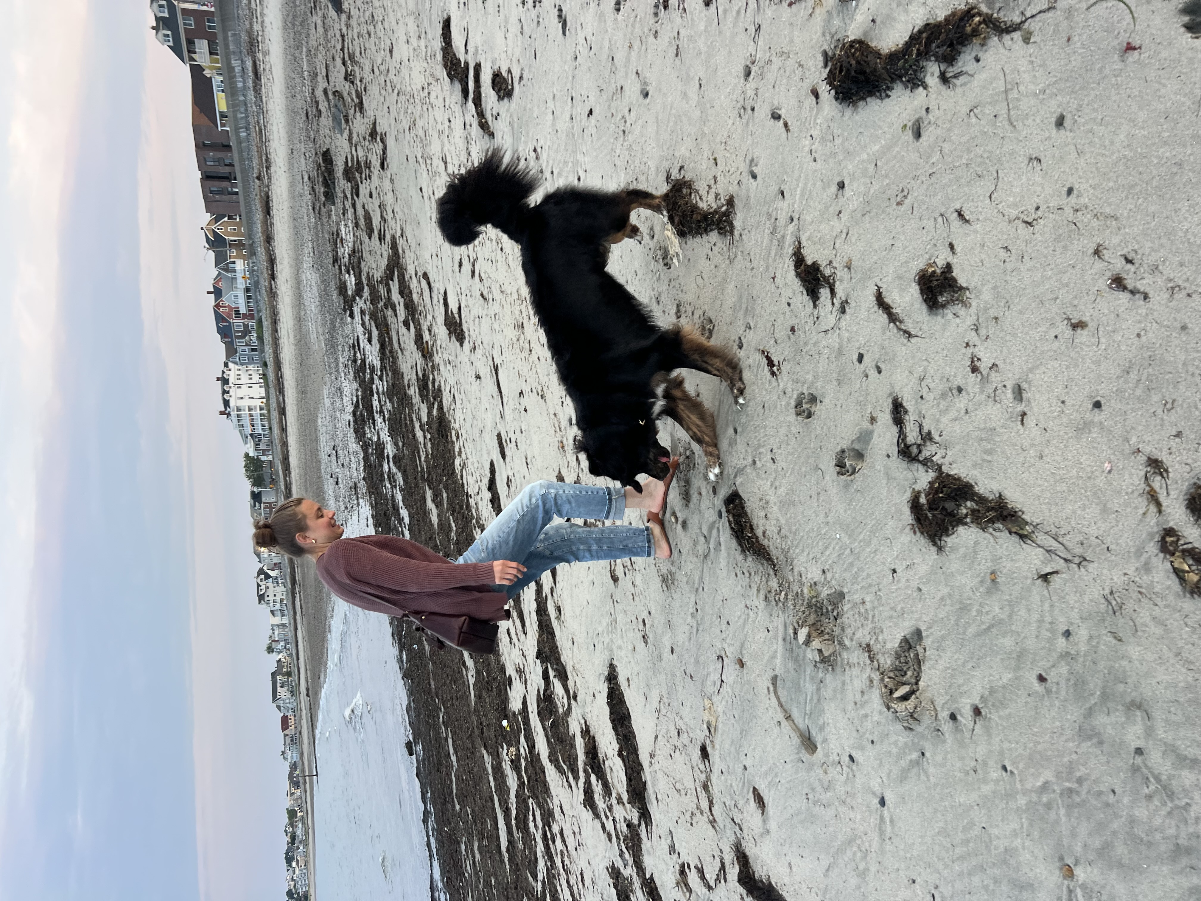 image-8