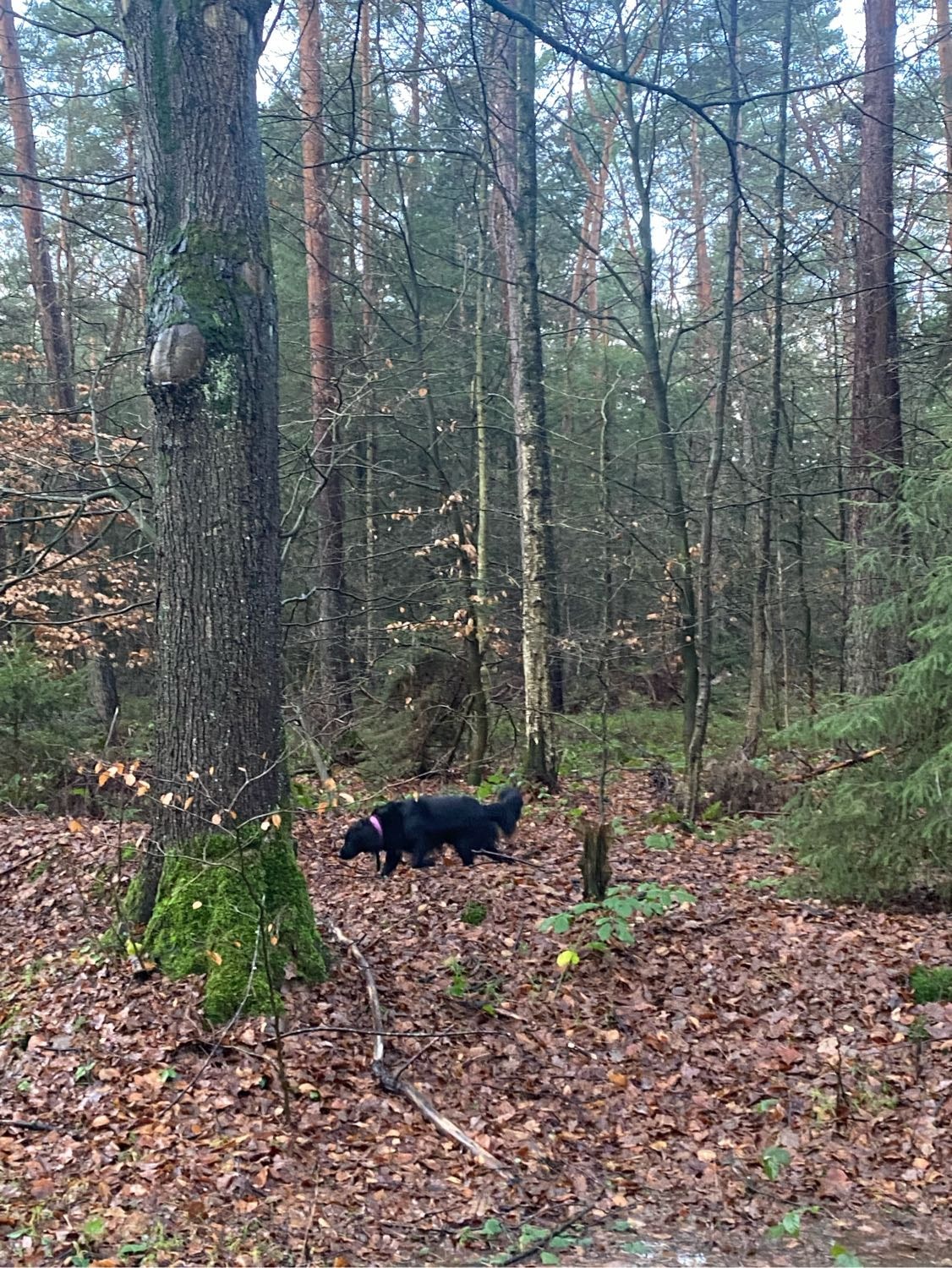 image-6