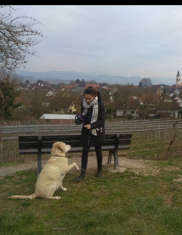 image-3