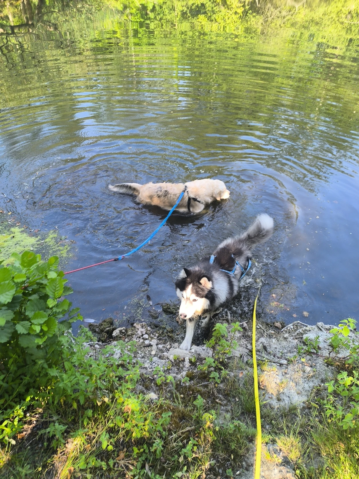 image-8