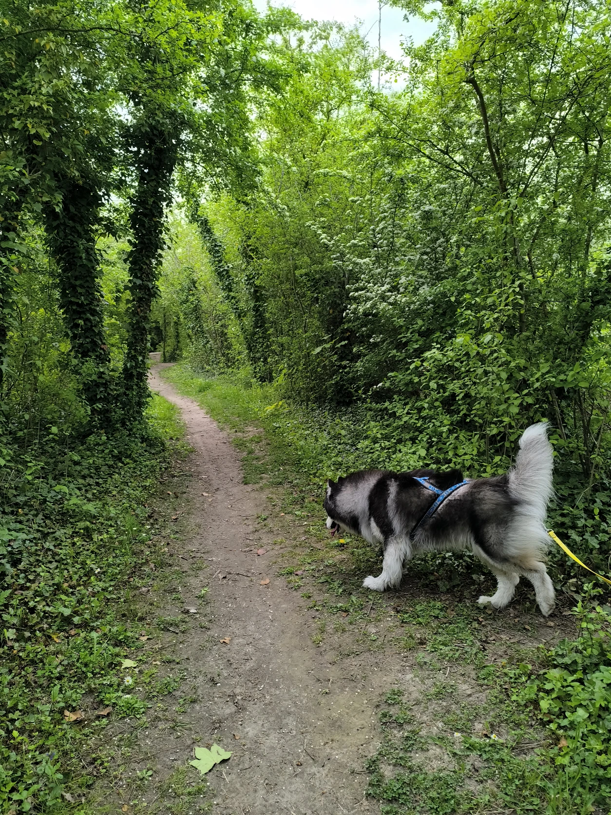 image-12