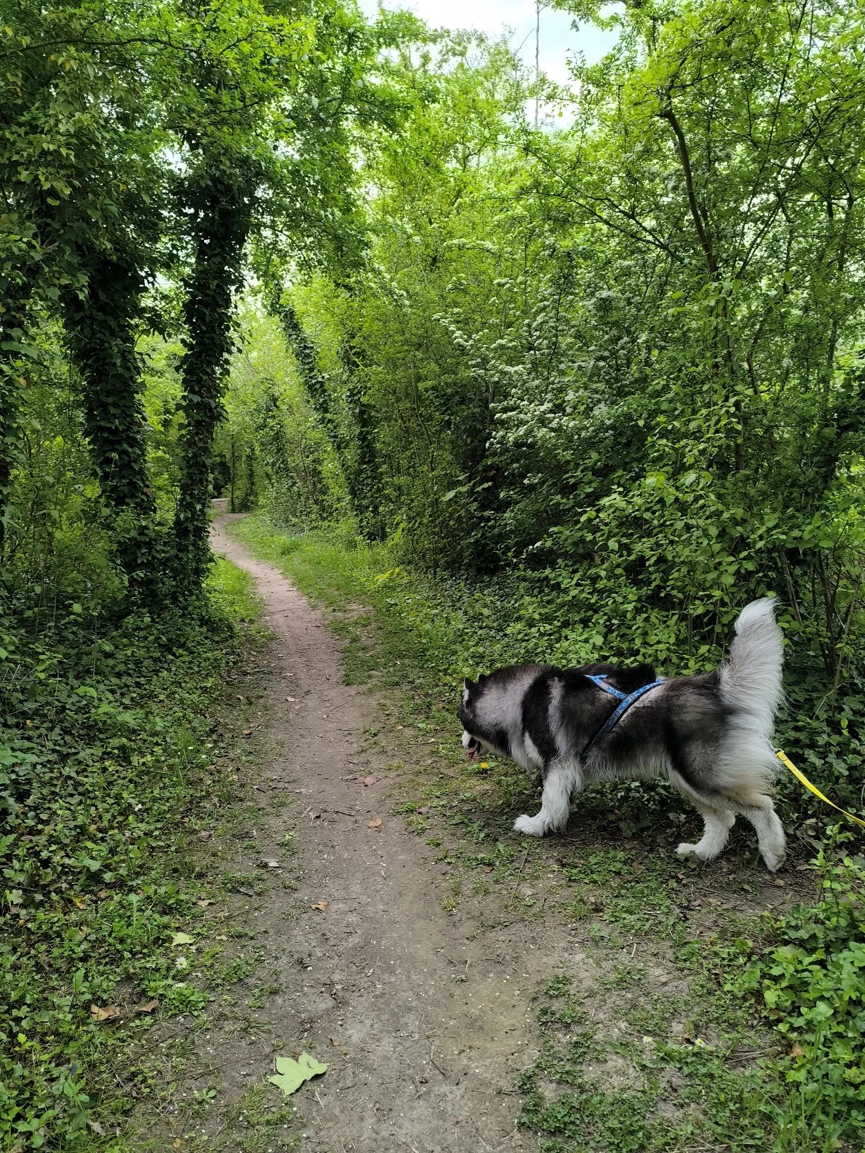 image-12