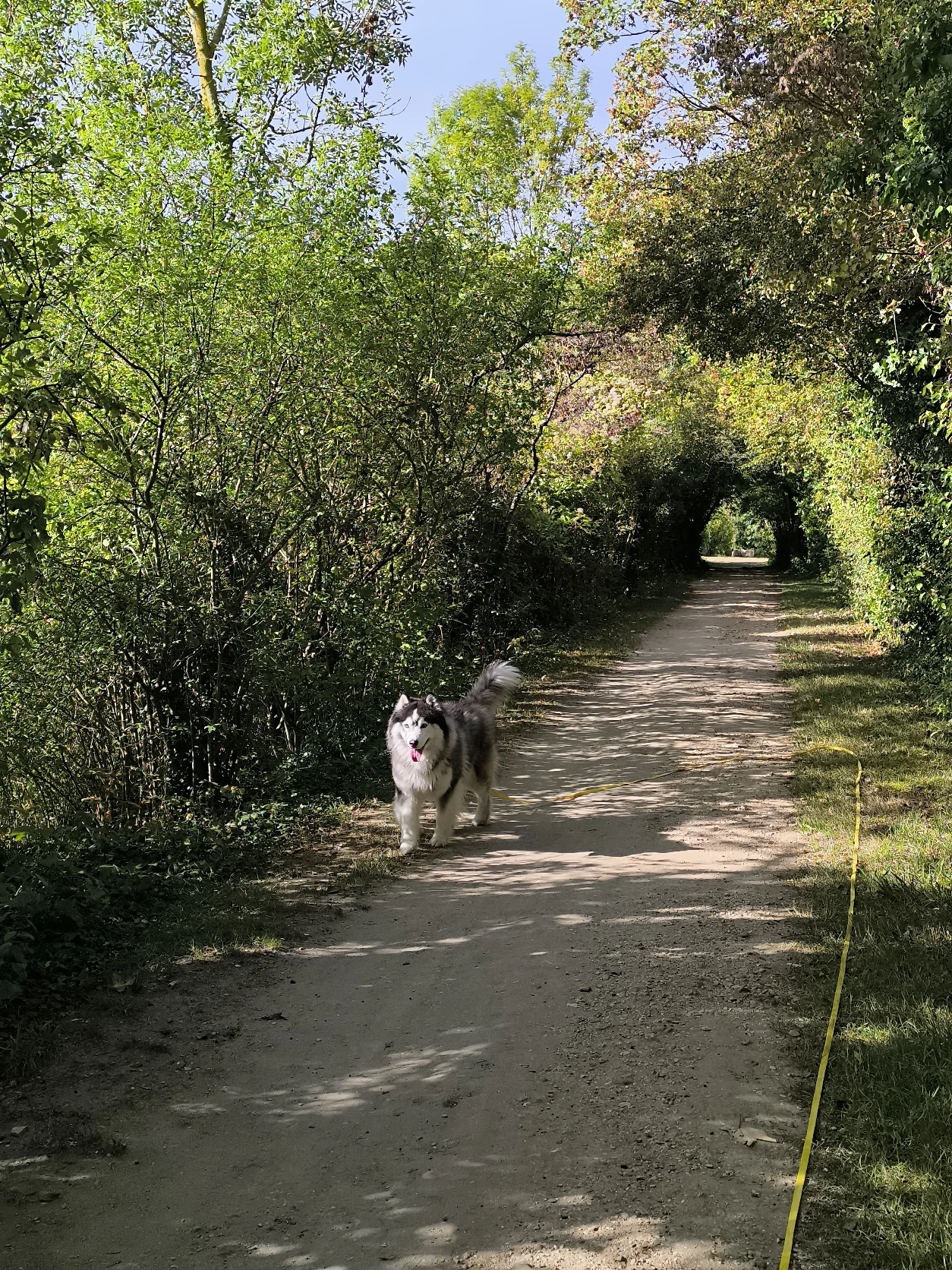 image-6
