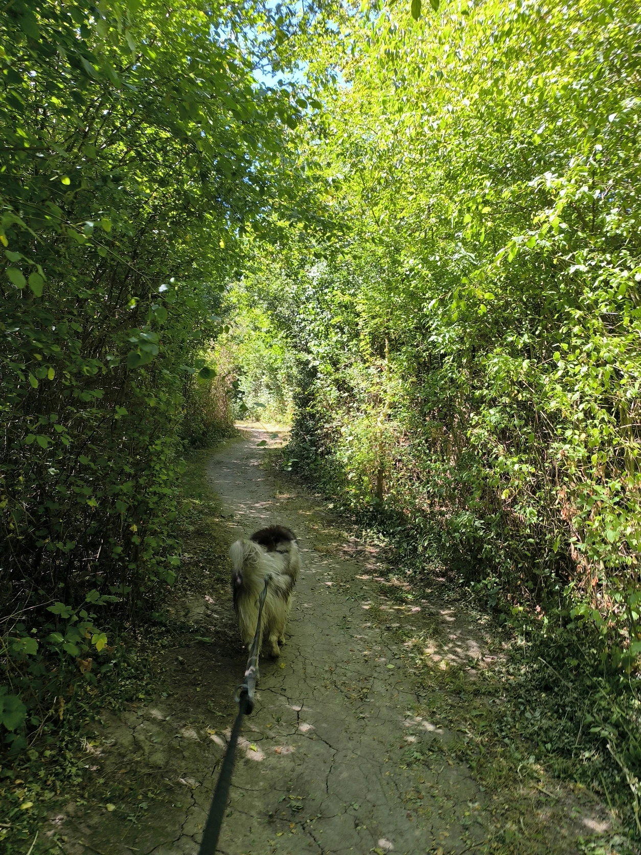 image-3