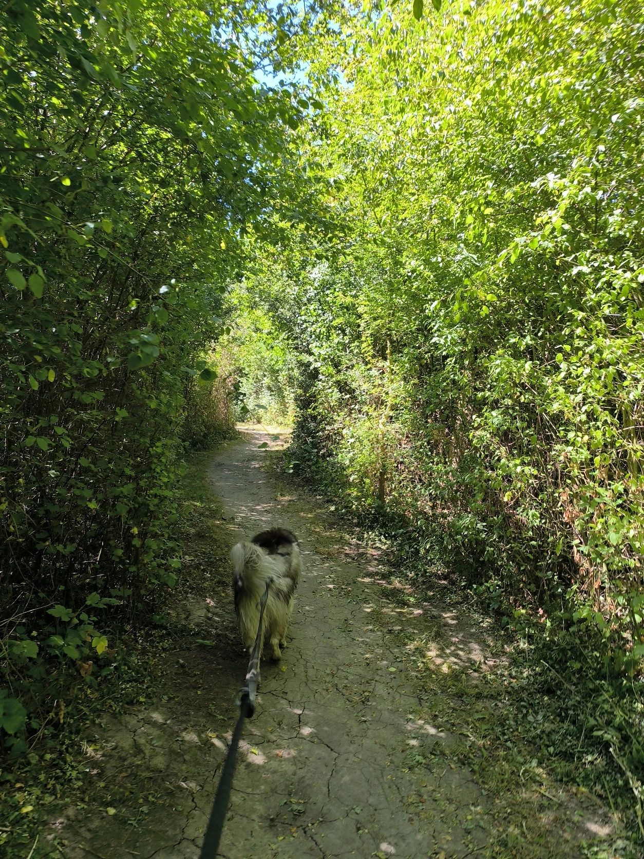 image-3