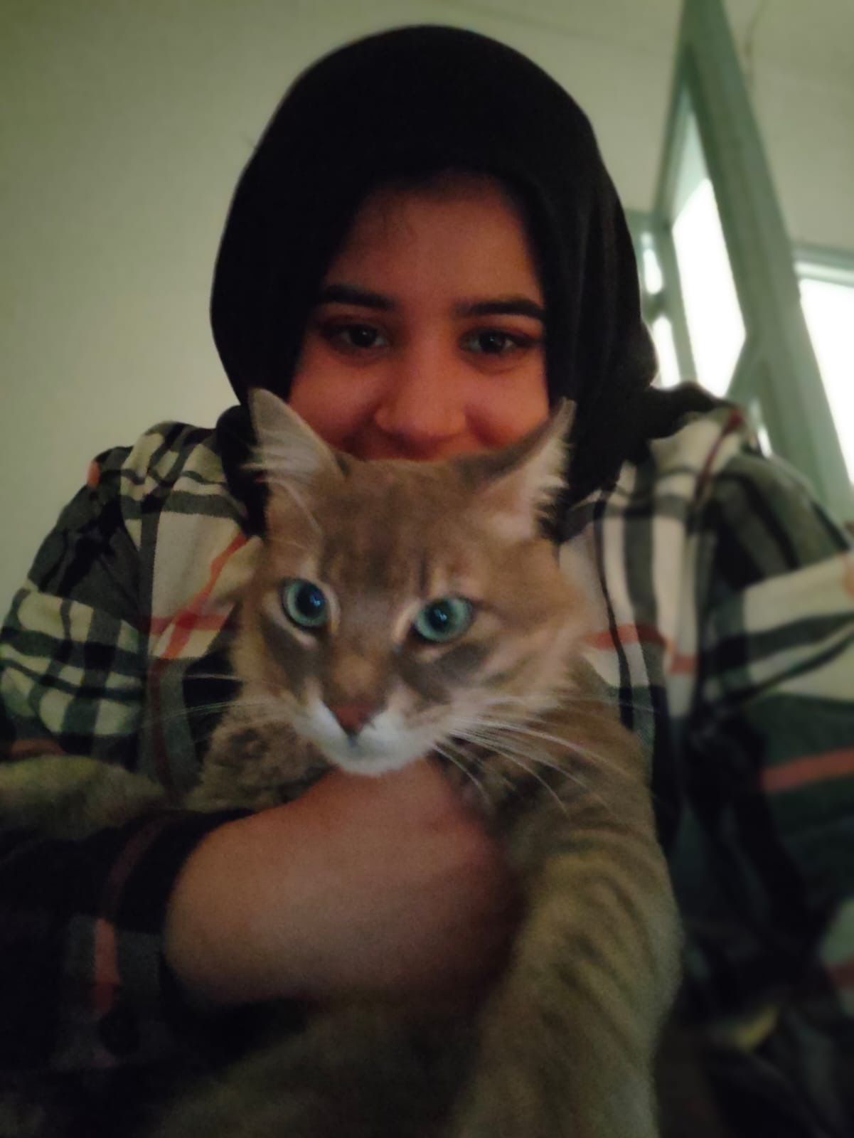 image-6