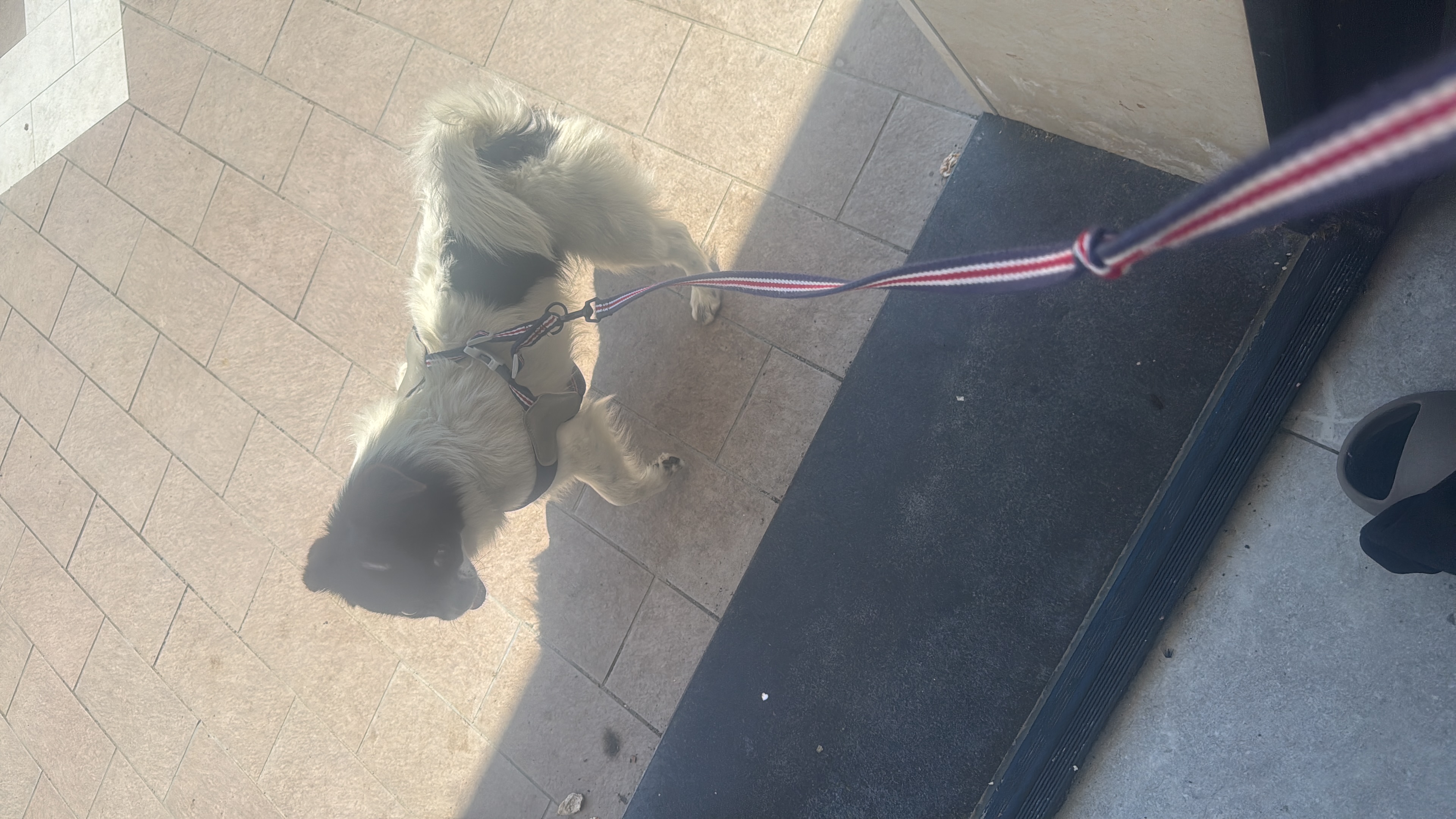 image-13