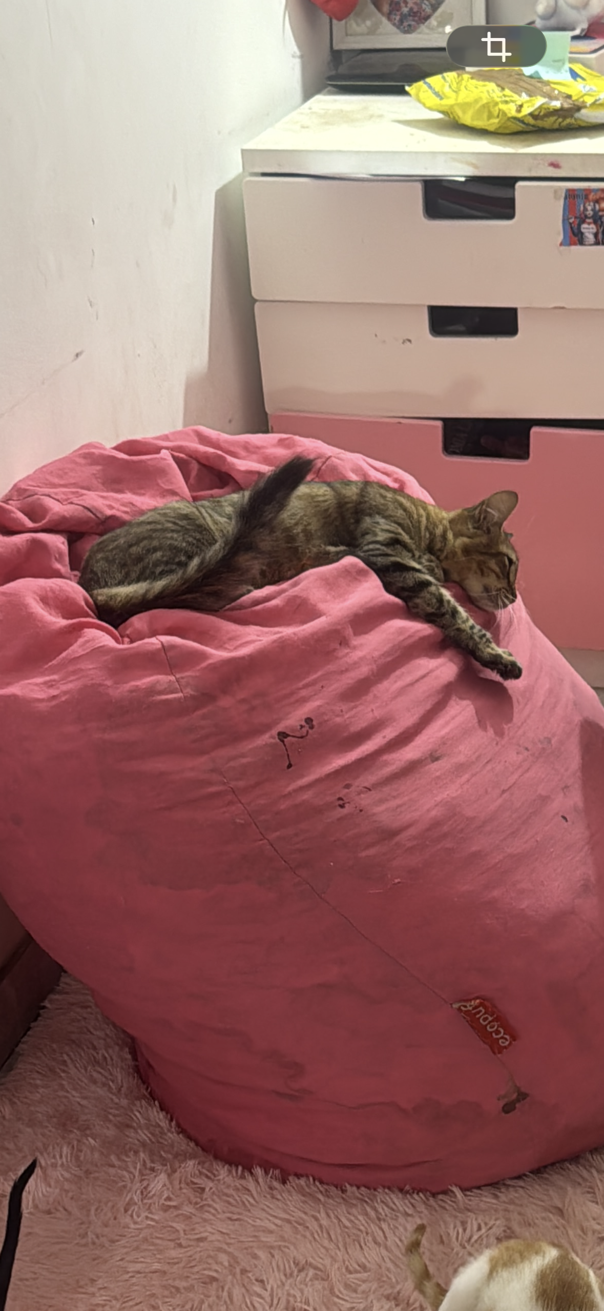 image-8
