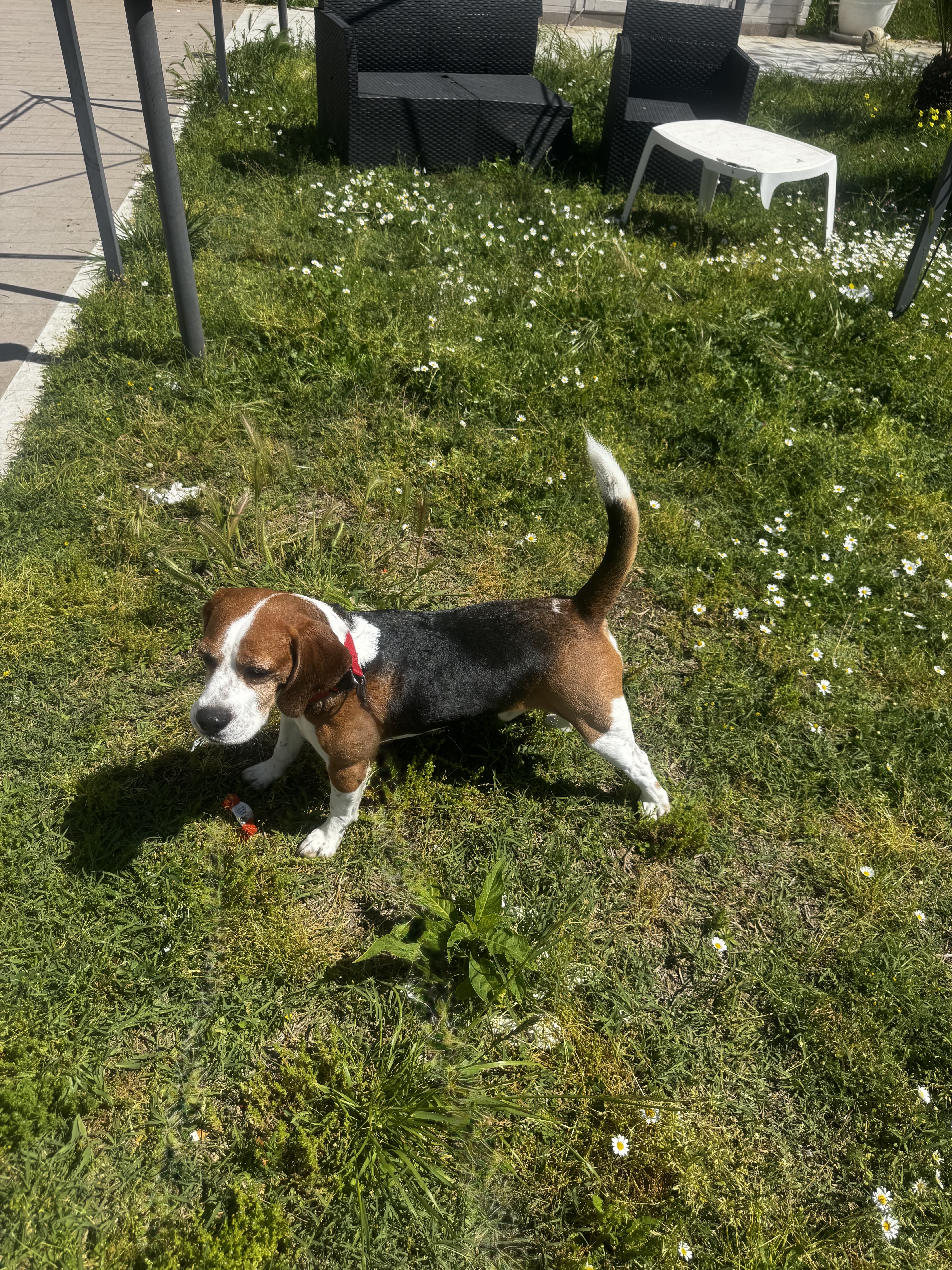 image-15