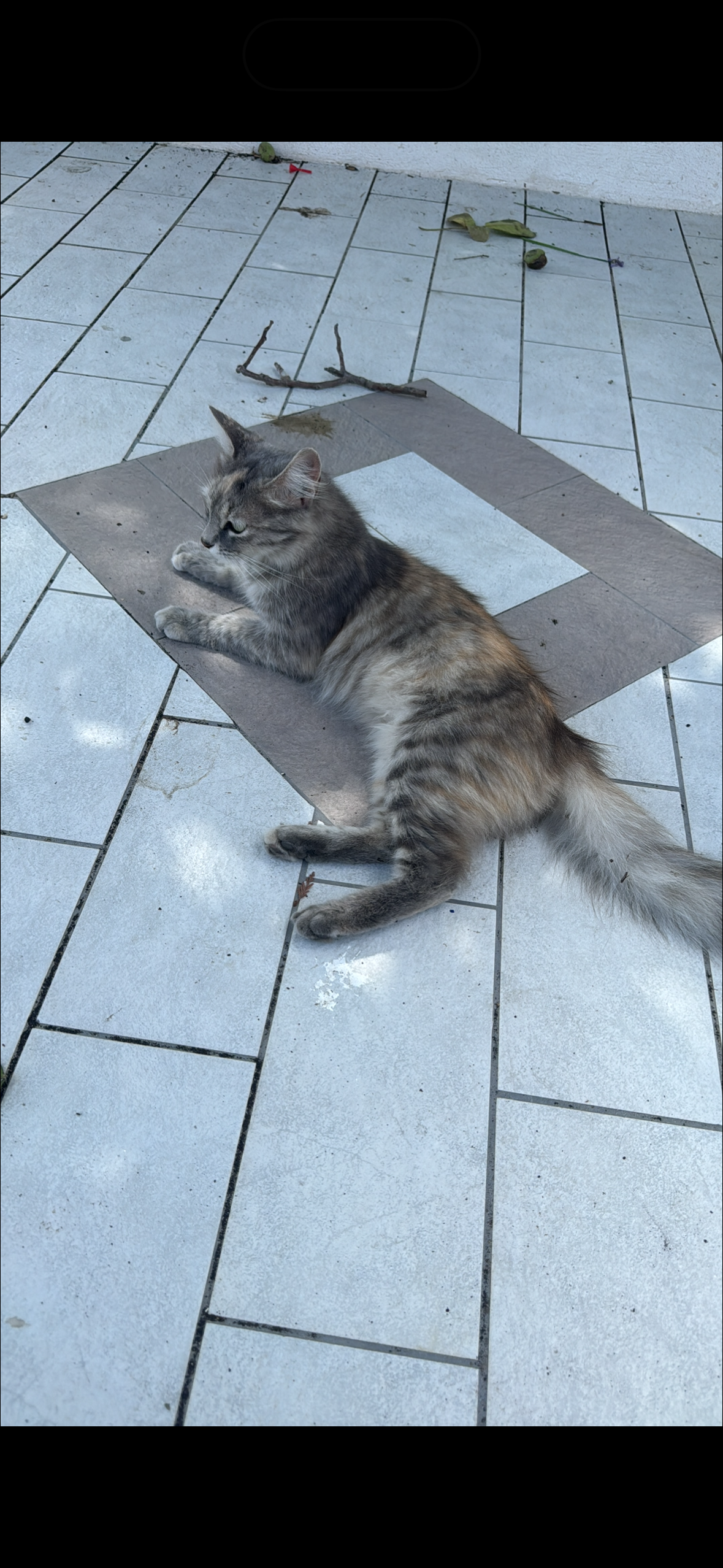 image-17