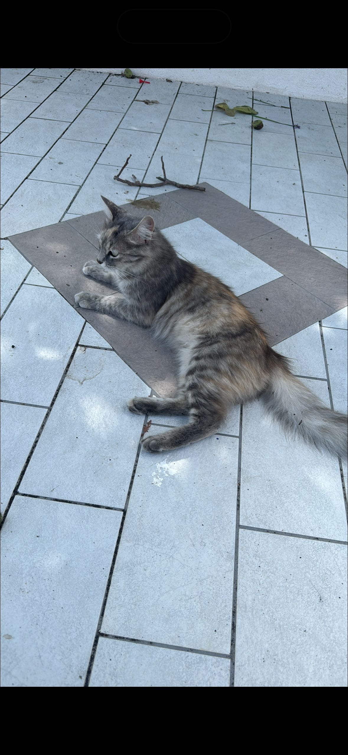 image-17