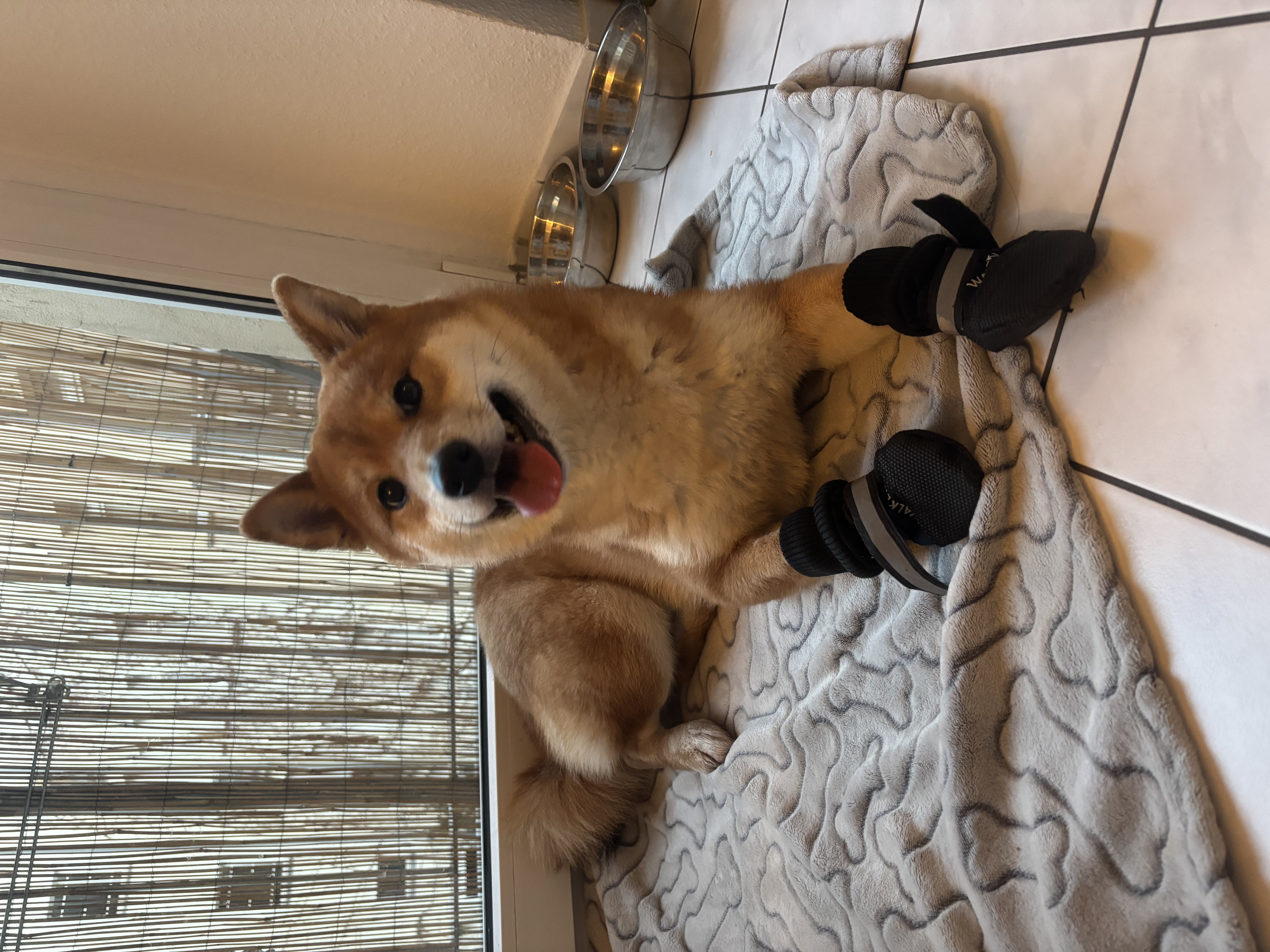 image-17