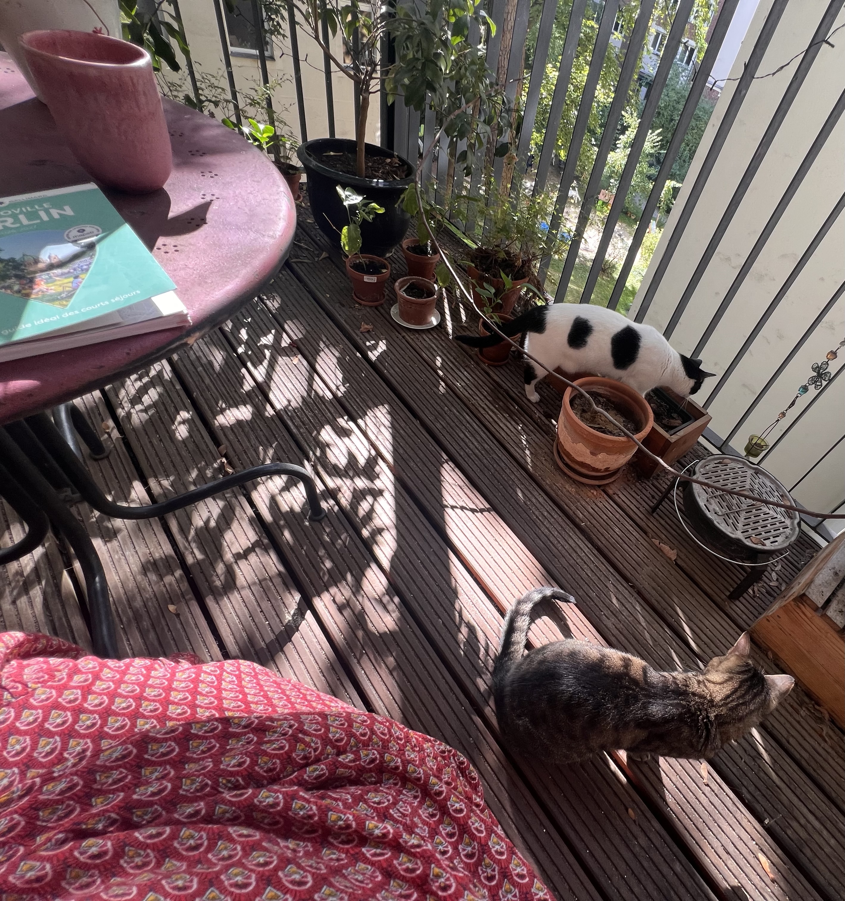 image-8