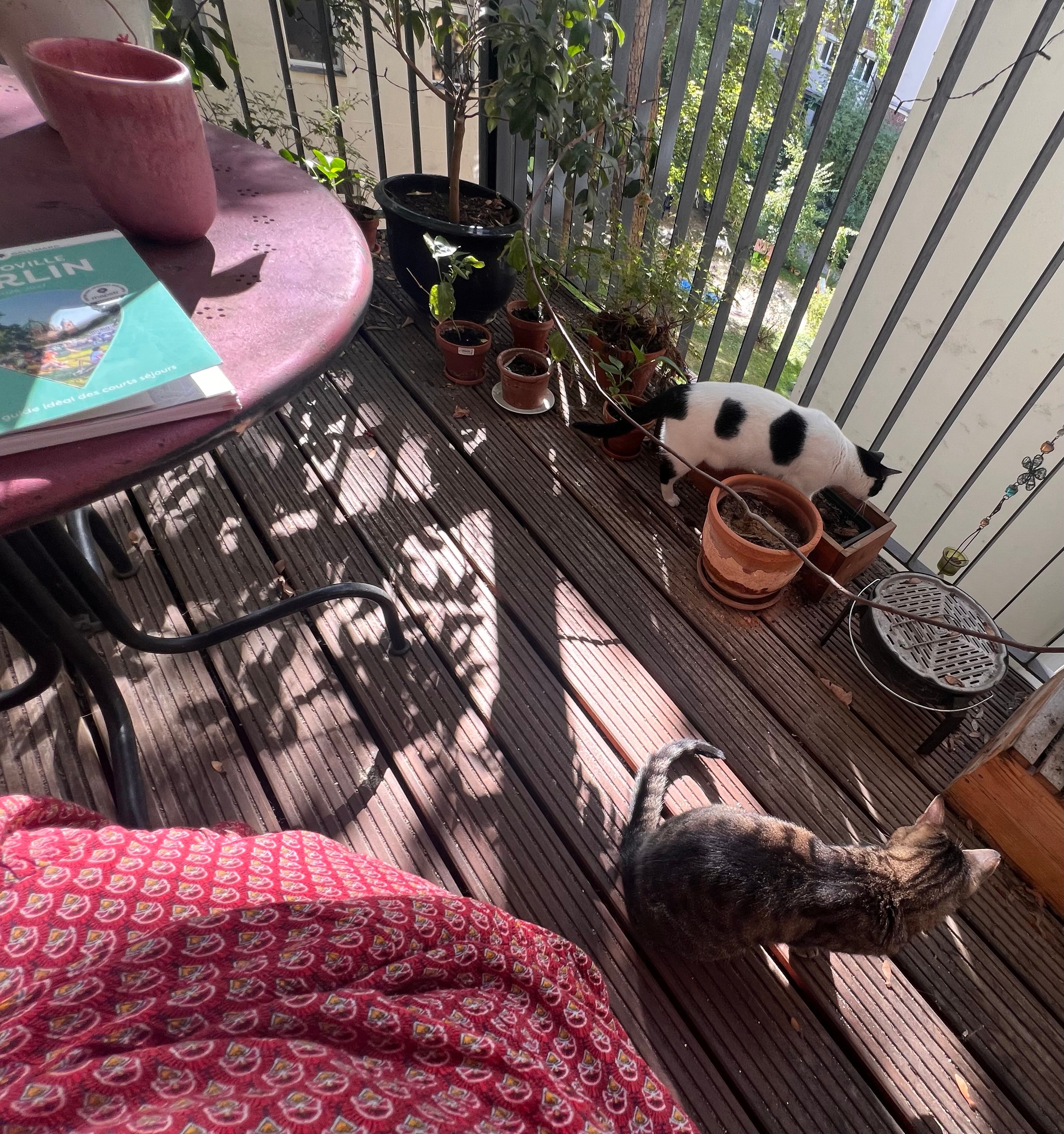 image-8