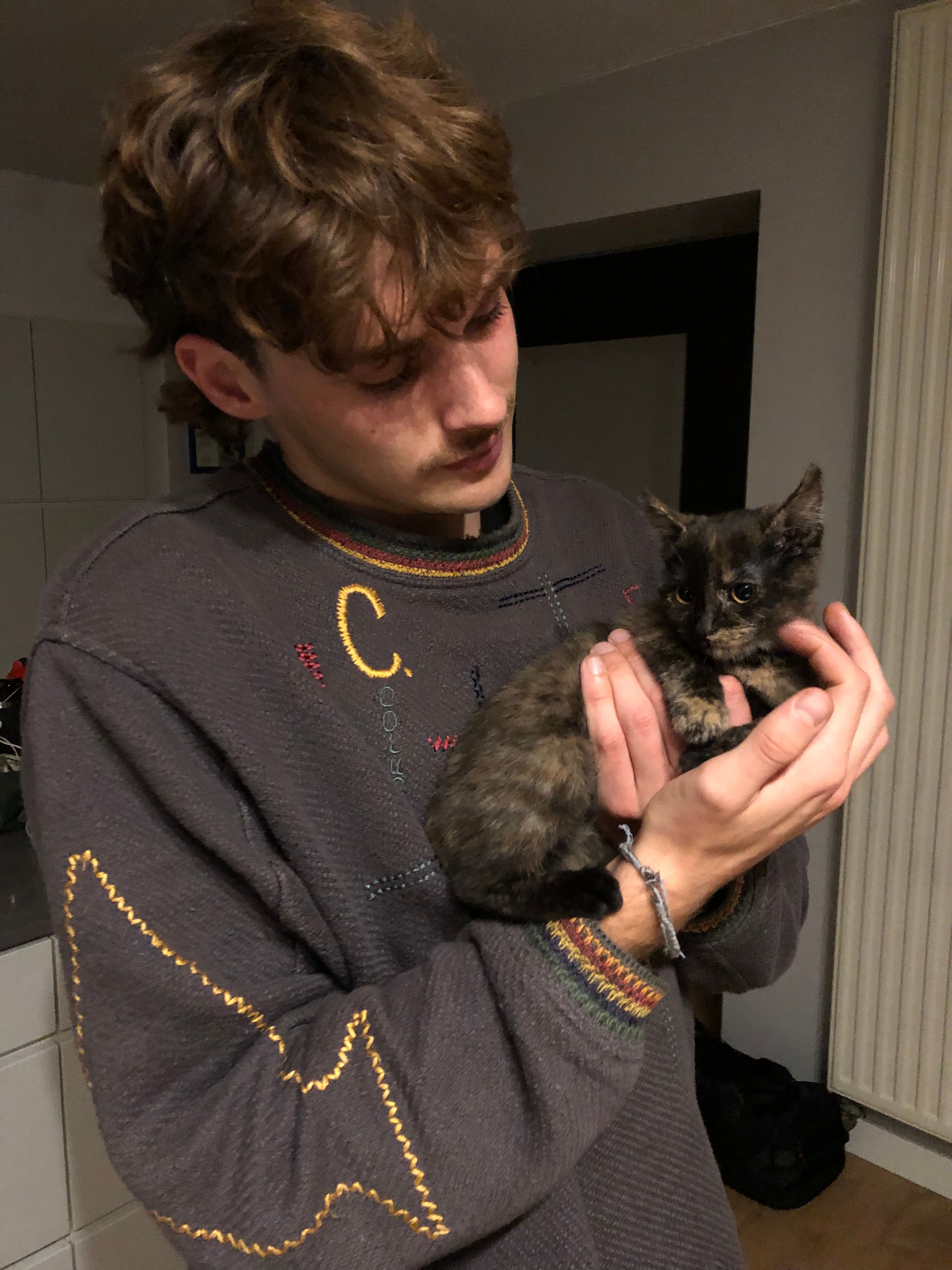 image-7