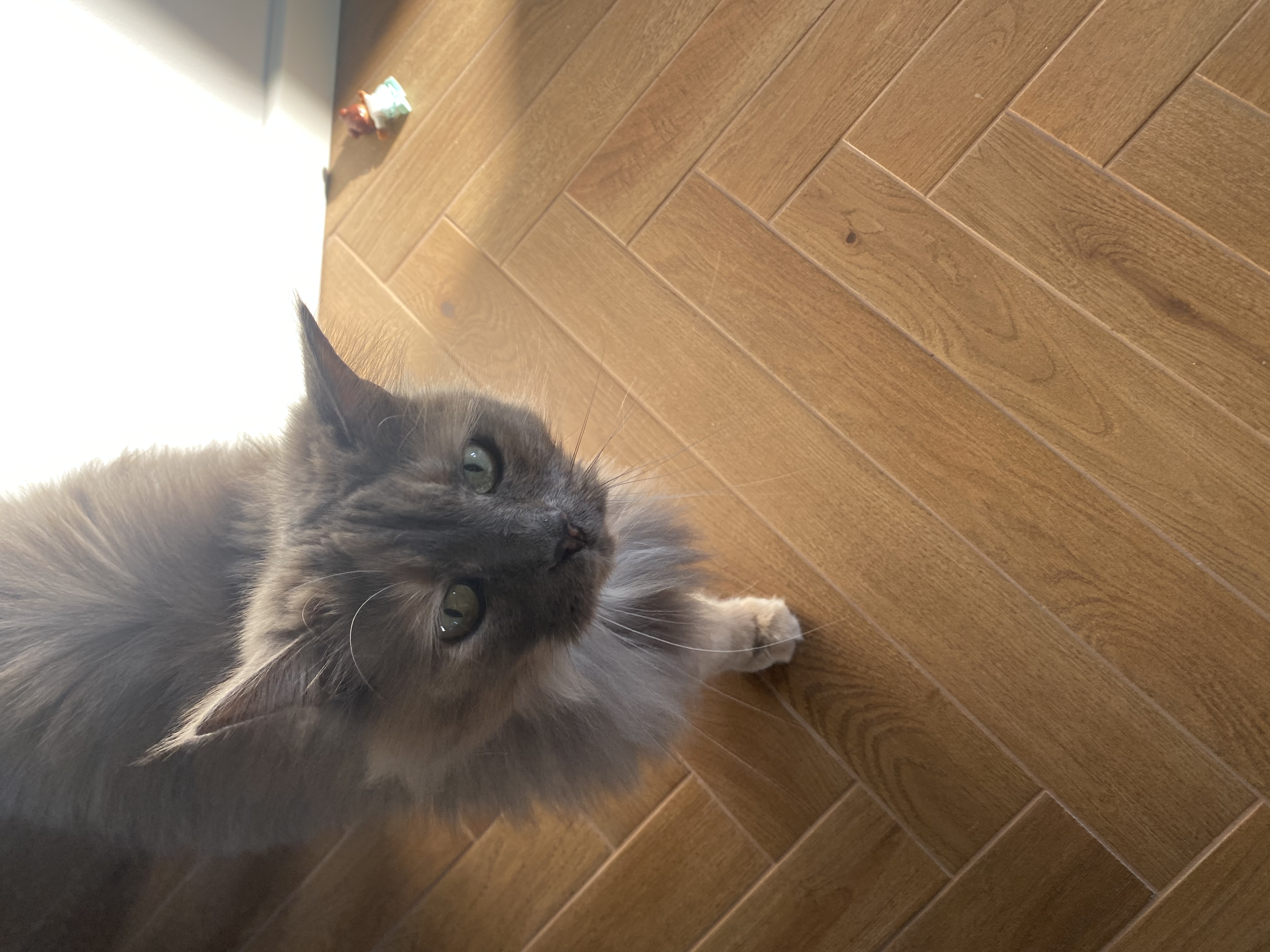 image-16
