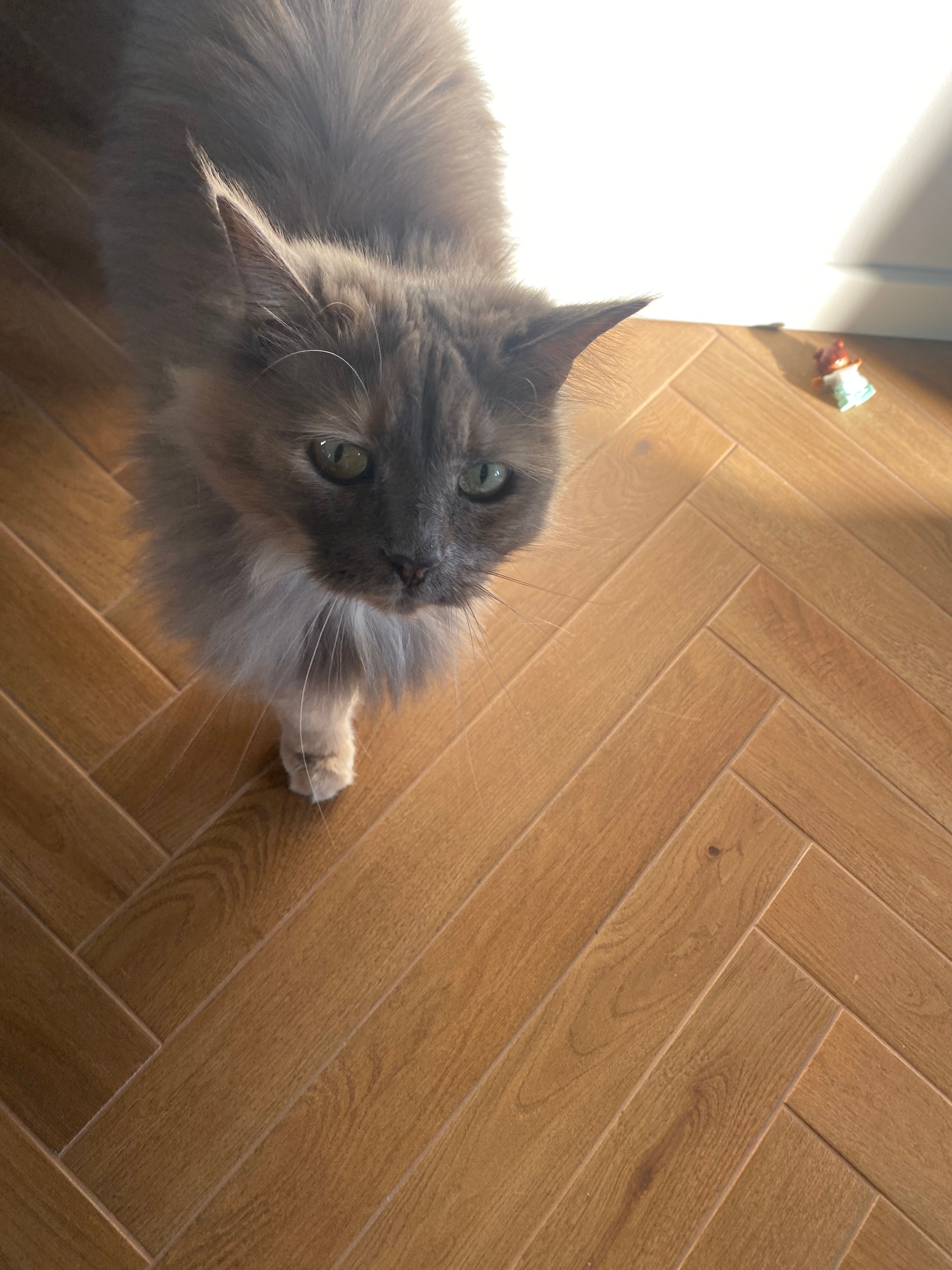 image-16