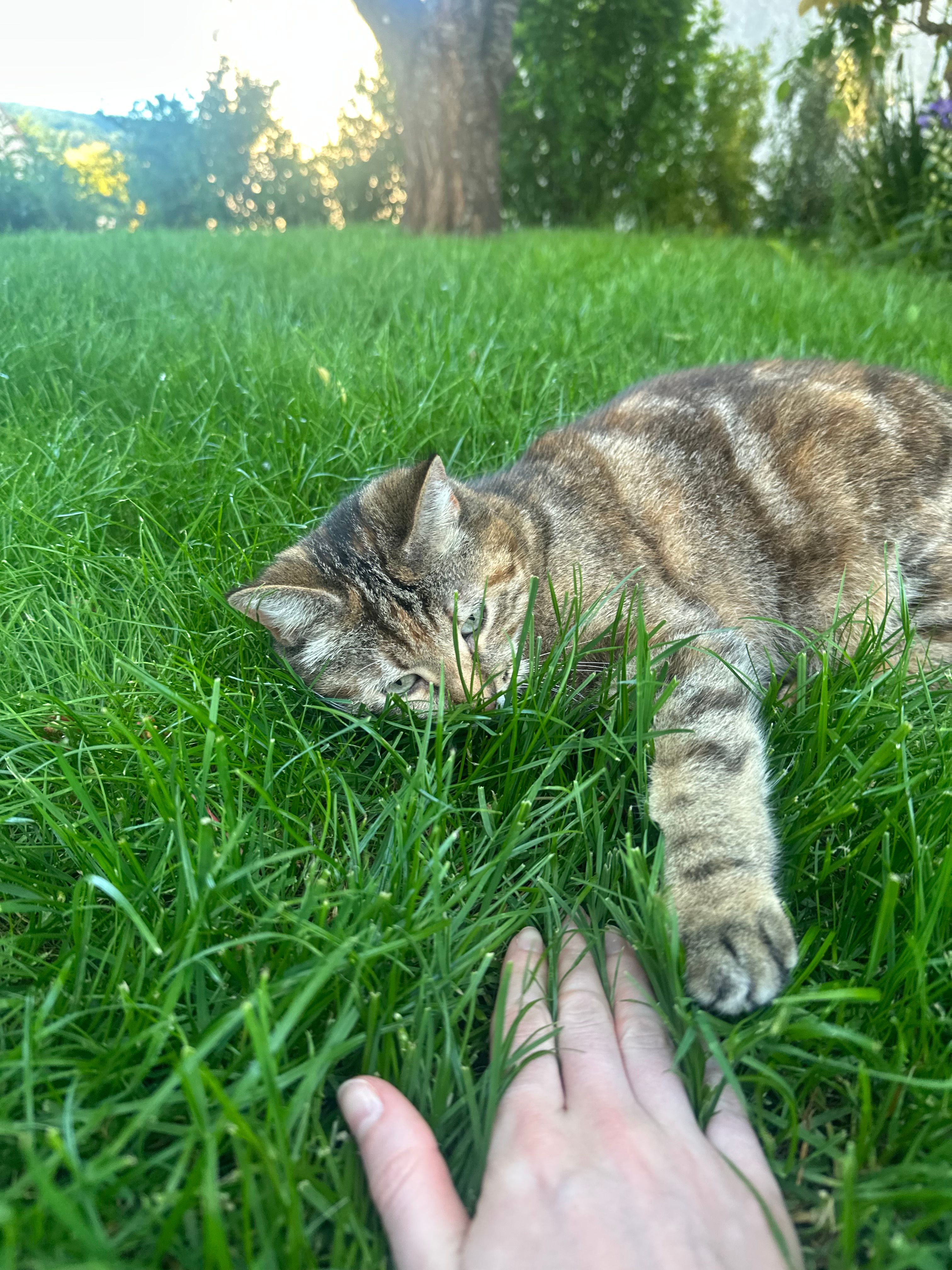 image-5