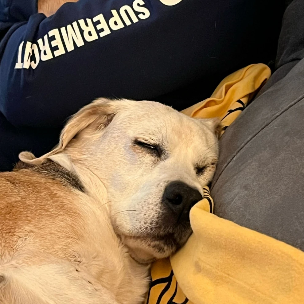 Max
