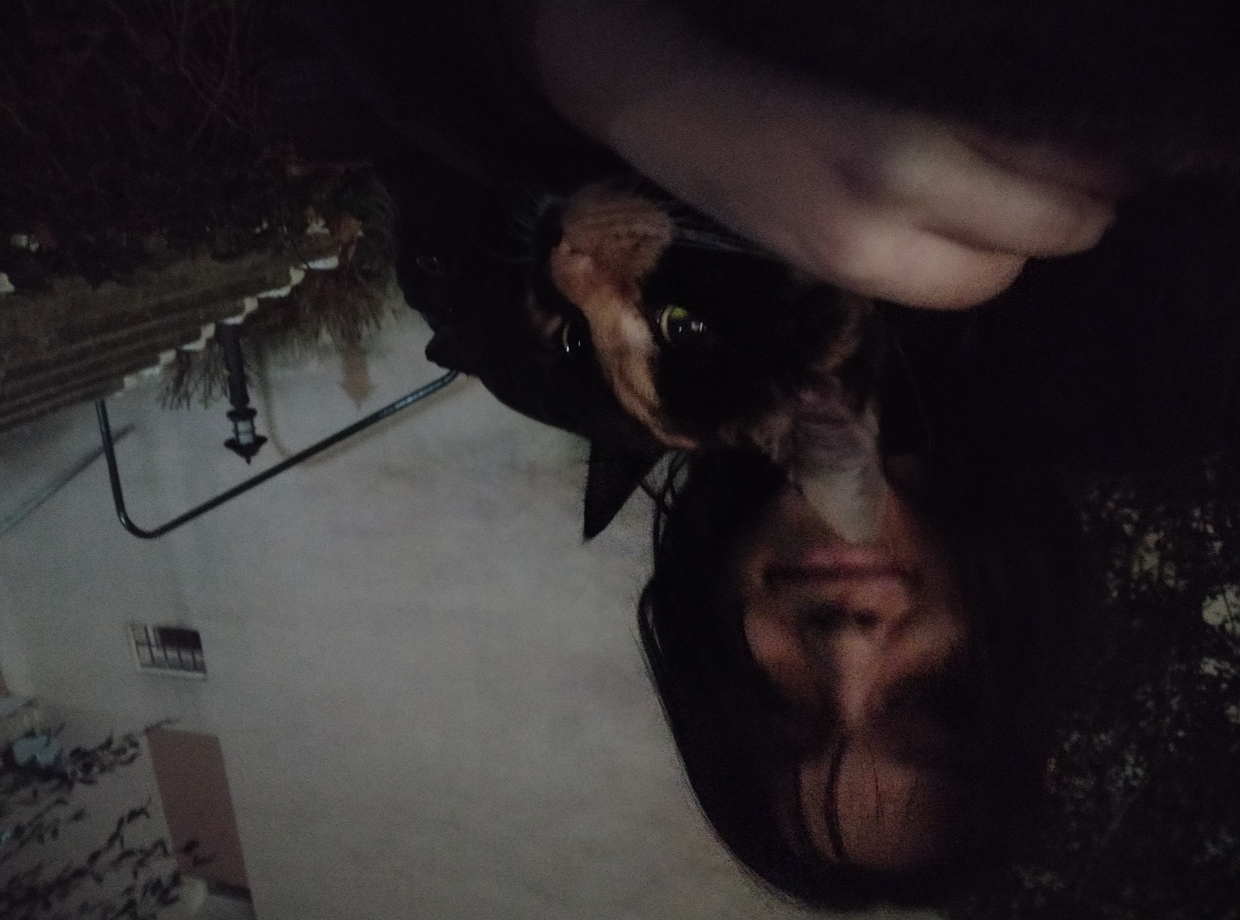 image-4