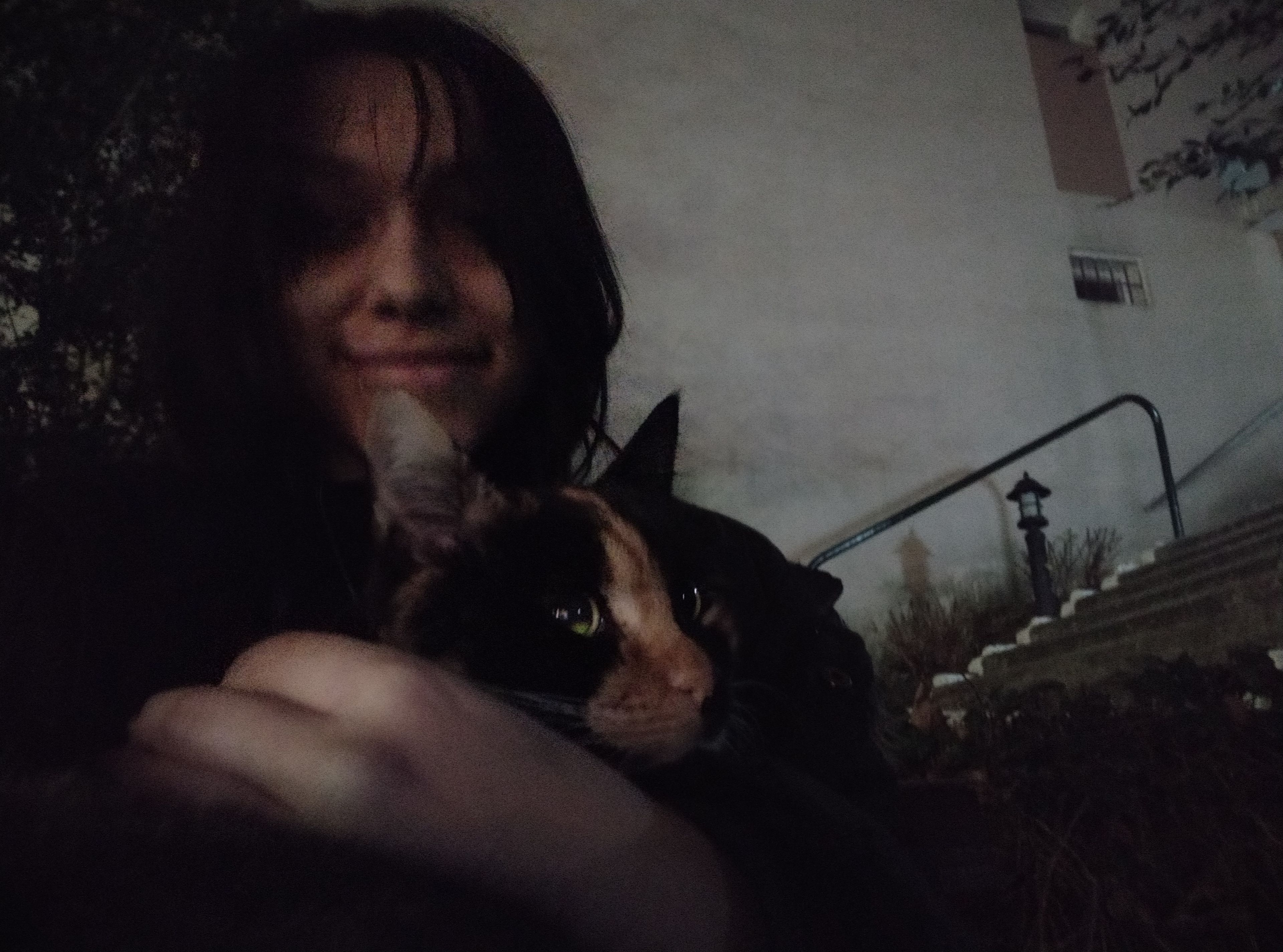 image-4