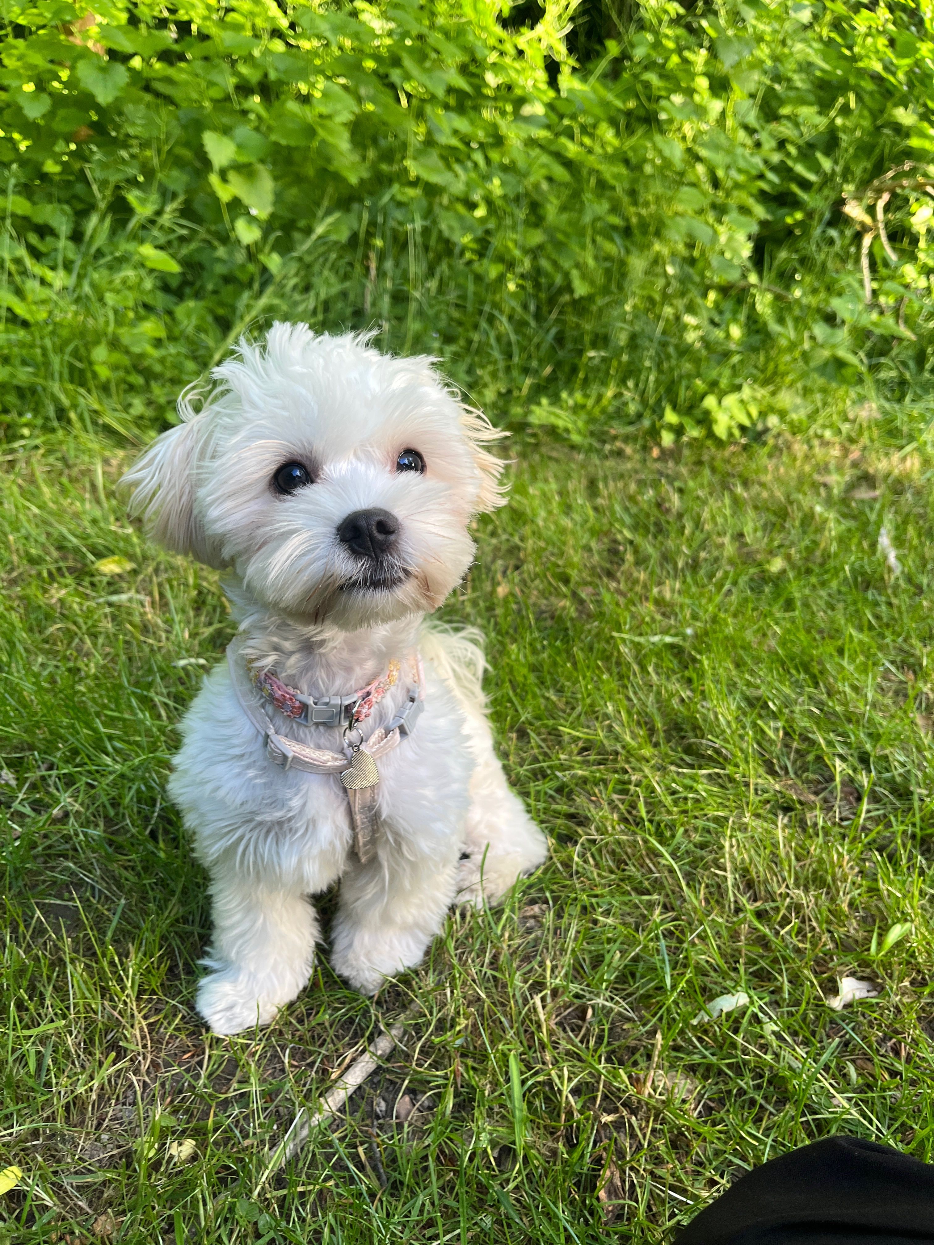 image-30